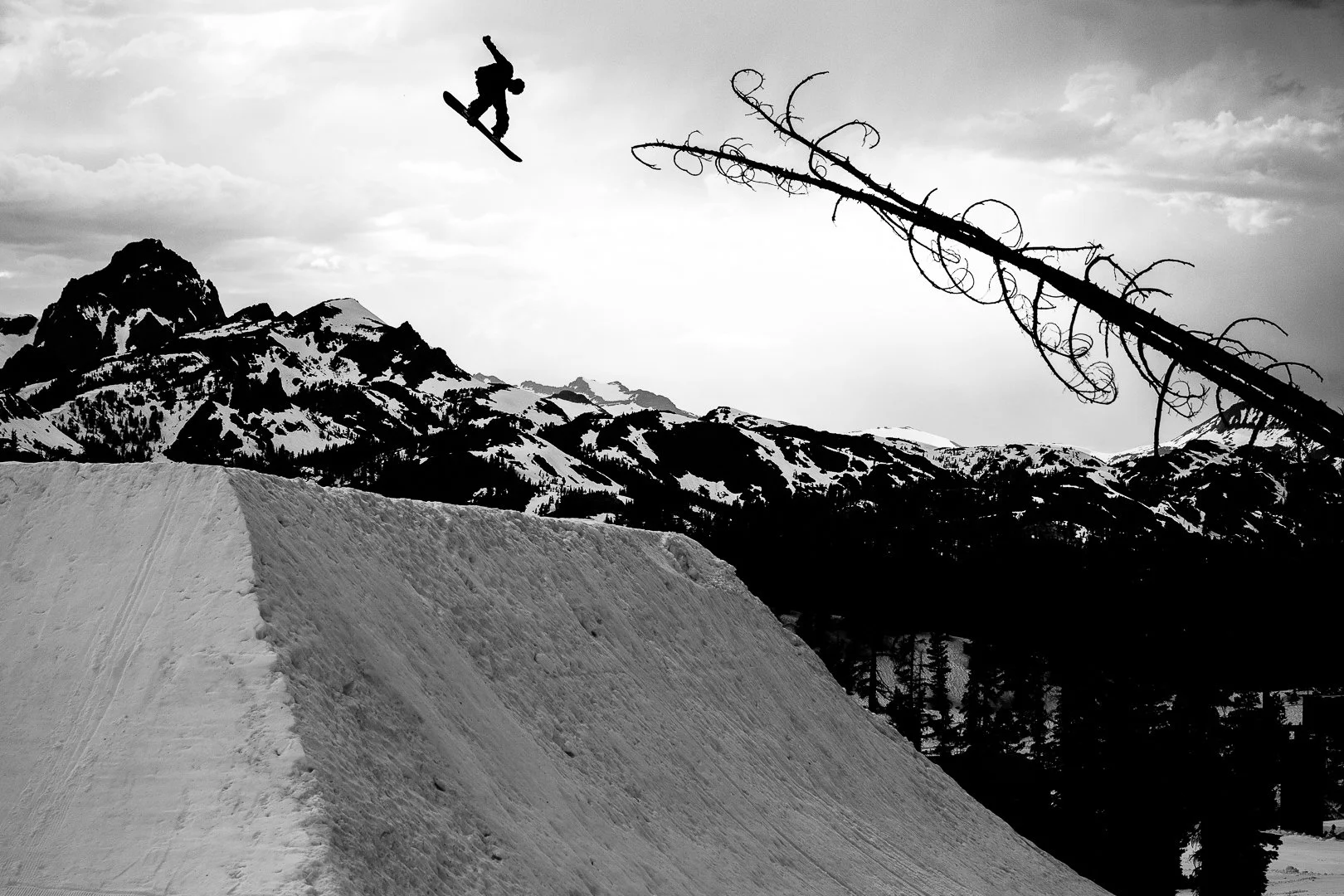 Torstien Horgmo - Mammoth - 2017