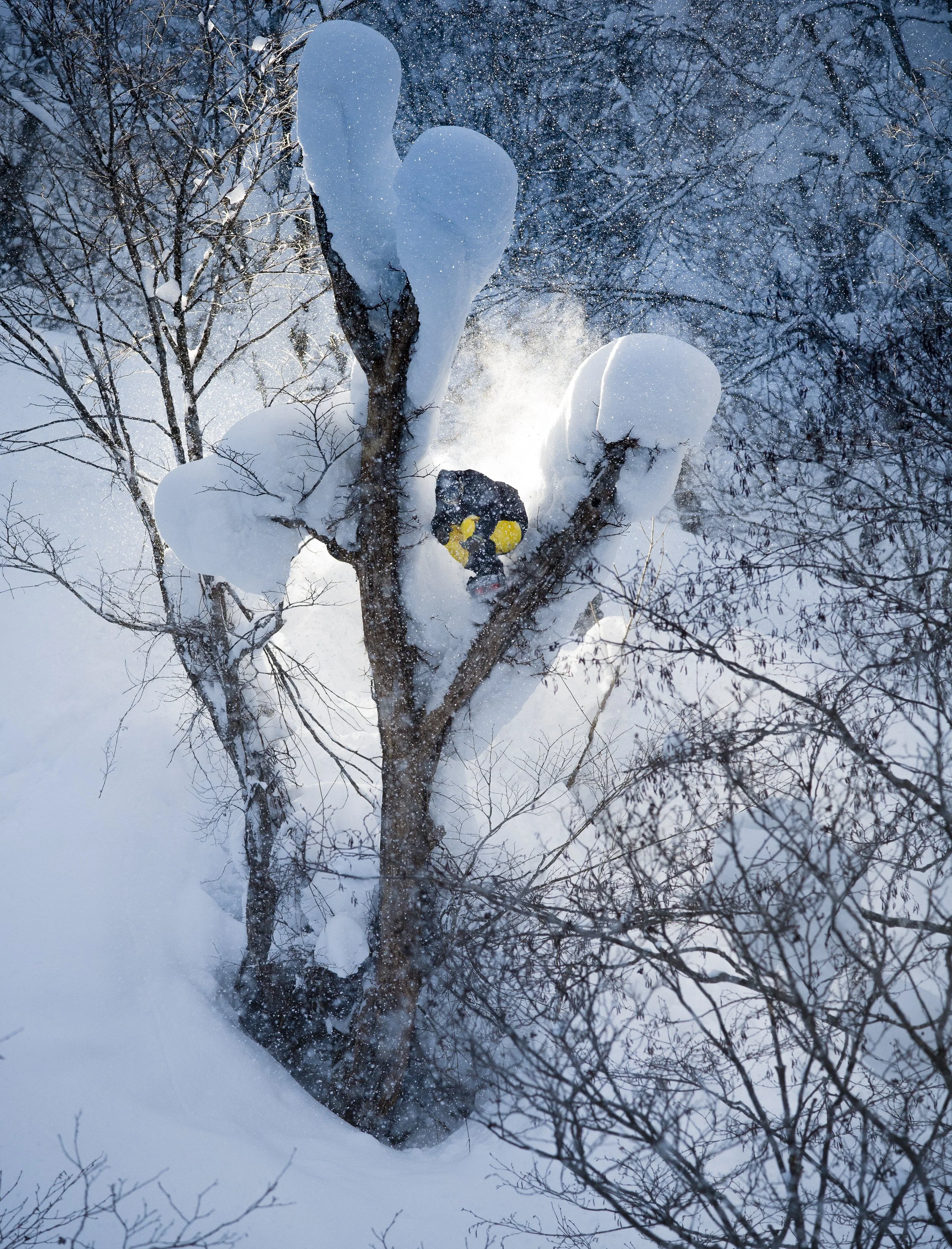 Iikka Backstrom - Japan - 2020