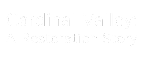 Cardinal Valley: A Restoration Story