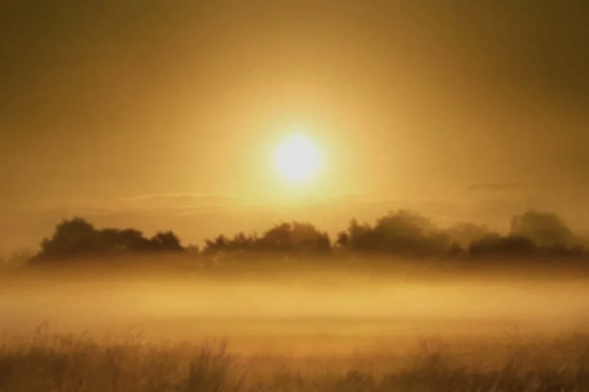 A bright full moon over a silhouette of trees and a field at night.