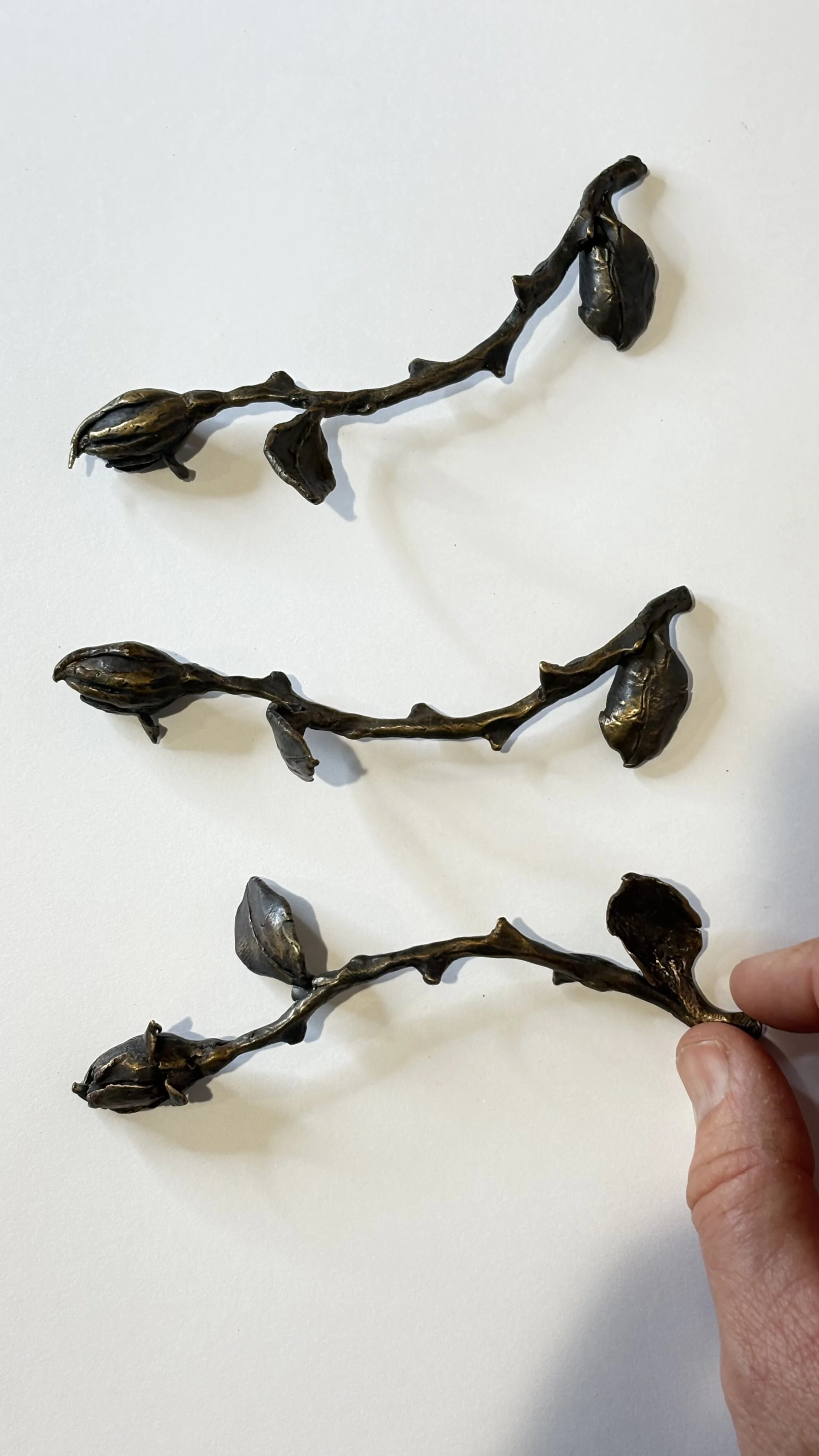 FullSizeRender 2.jpeg