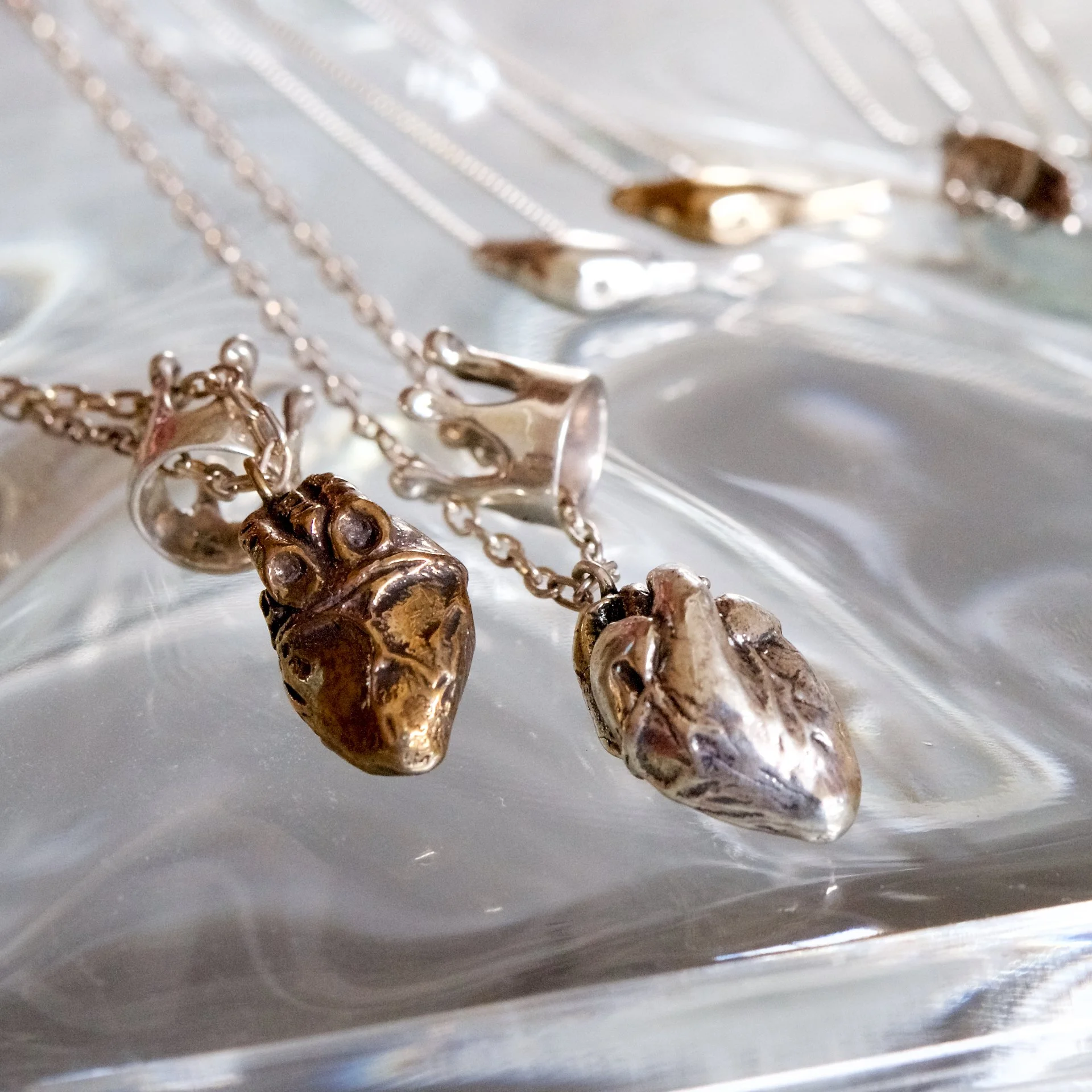 _DSC5924 - Version 3.jpg