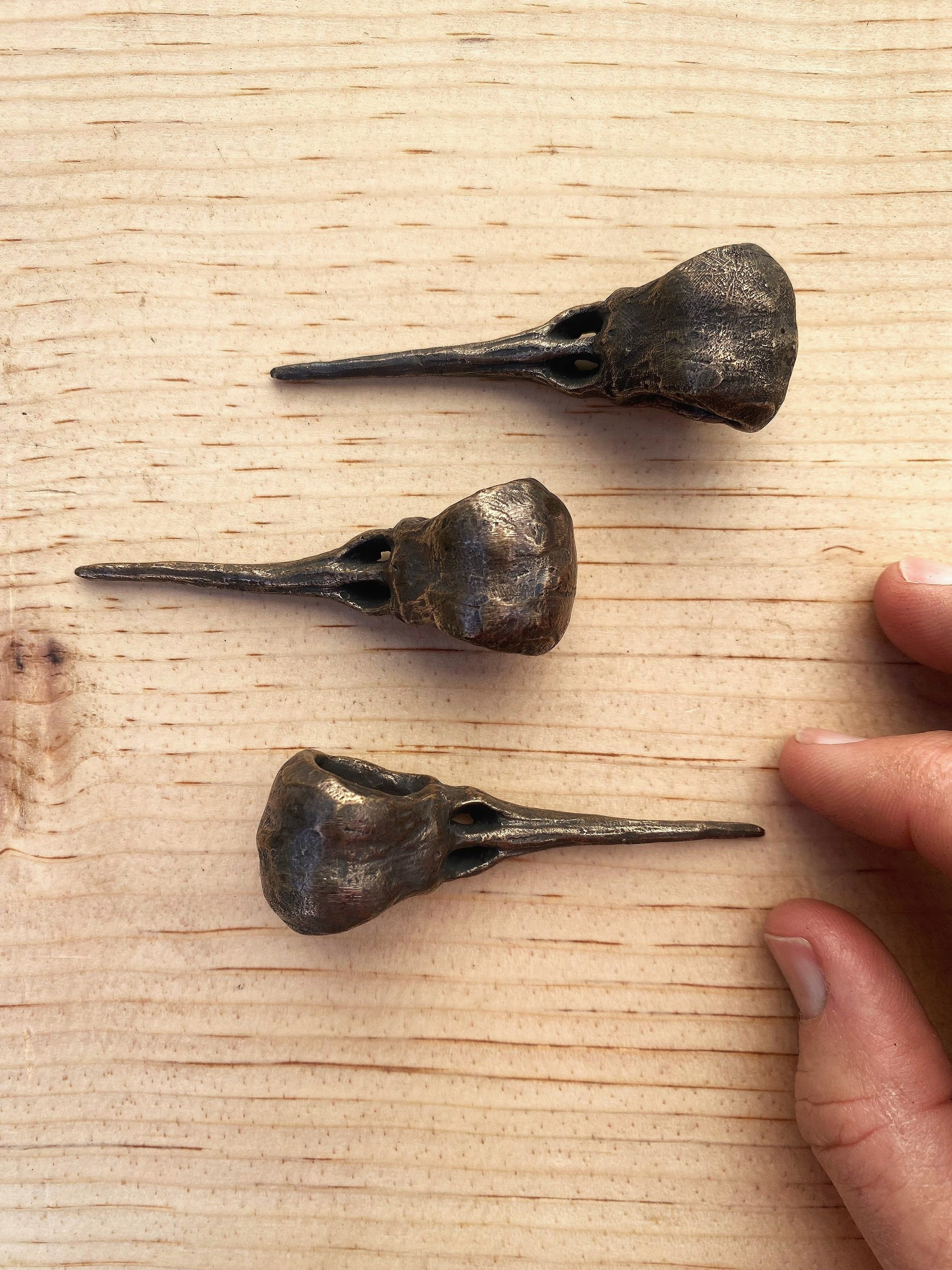 Hummingbird Skull