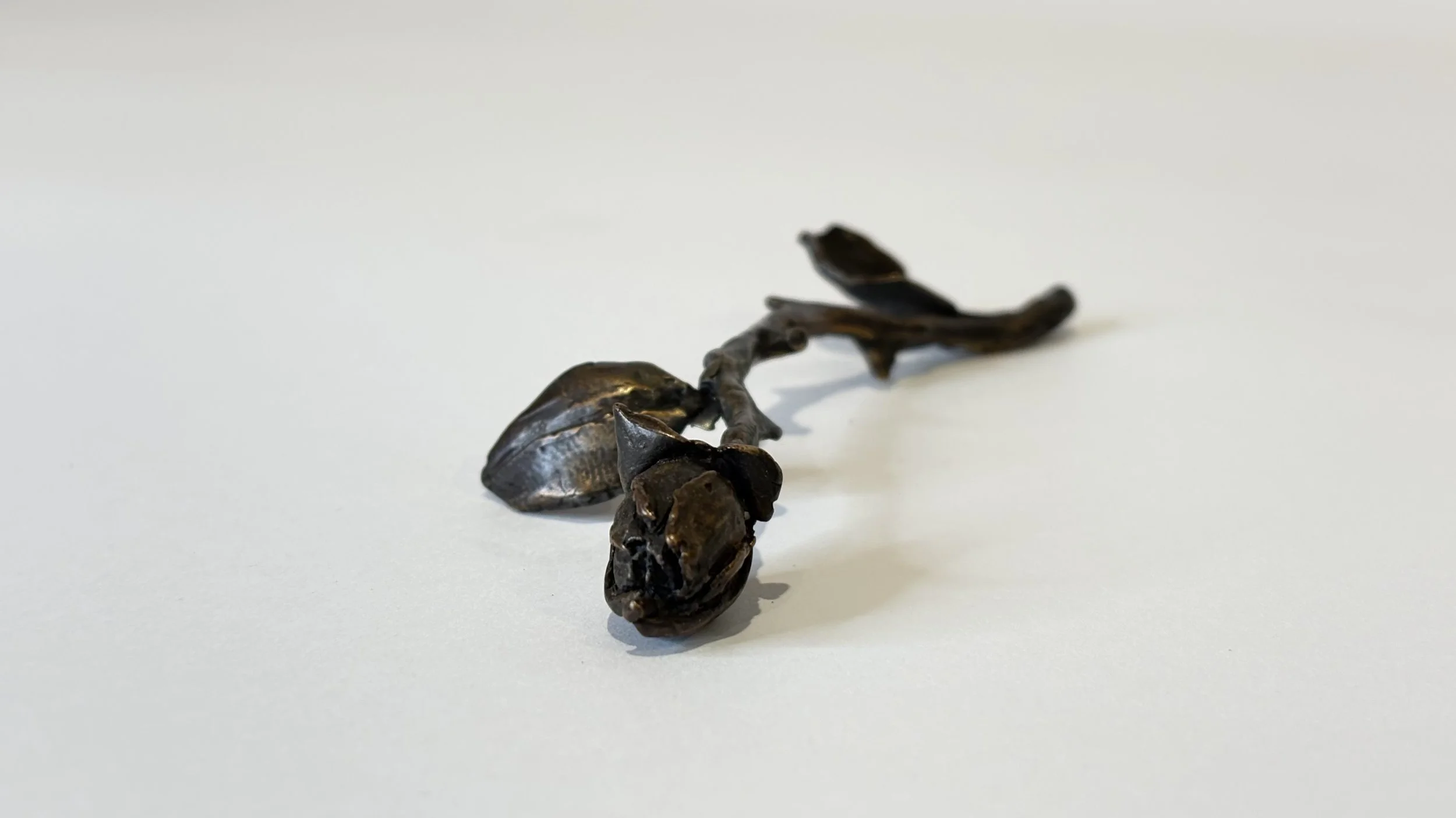 FullSizeRender (1) 2.jpeg