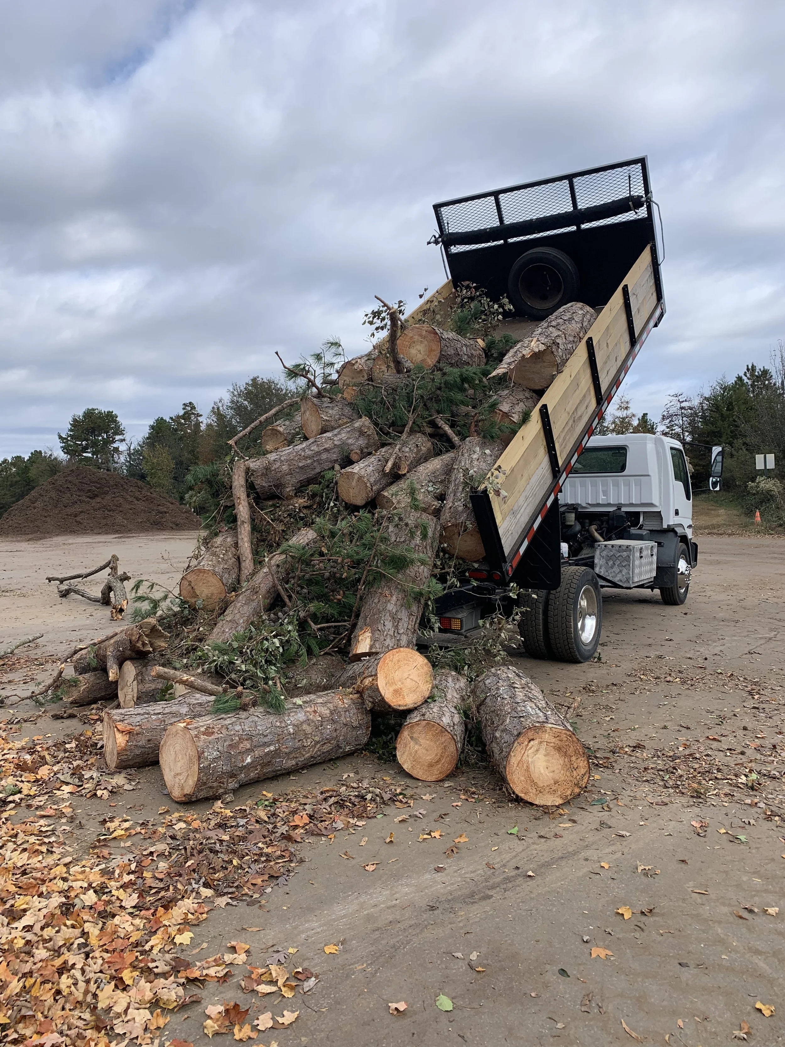 A white flatbed truck dumping large logs and branches onto a dirt lot.