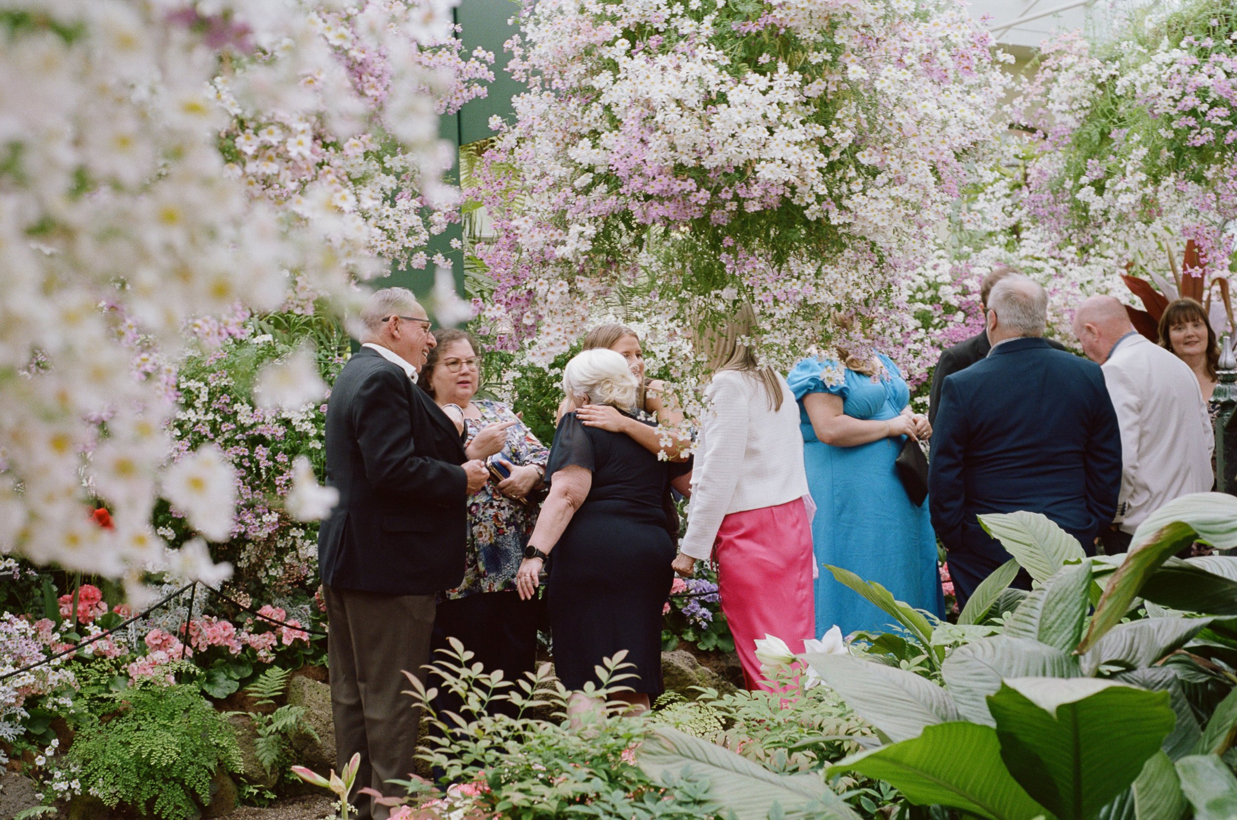 Group of people dressed formally, mingling and talking among lush, blooming pink and white flowers in a garden or botanical setting.