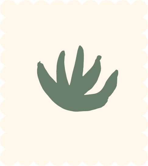 Silhouette of a hand with five fingers against a light background, with a scalloped border.