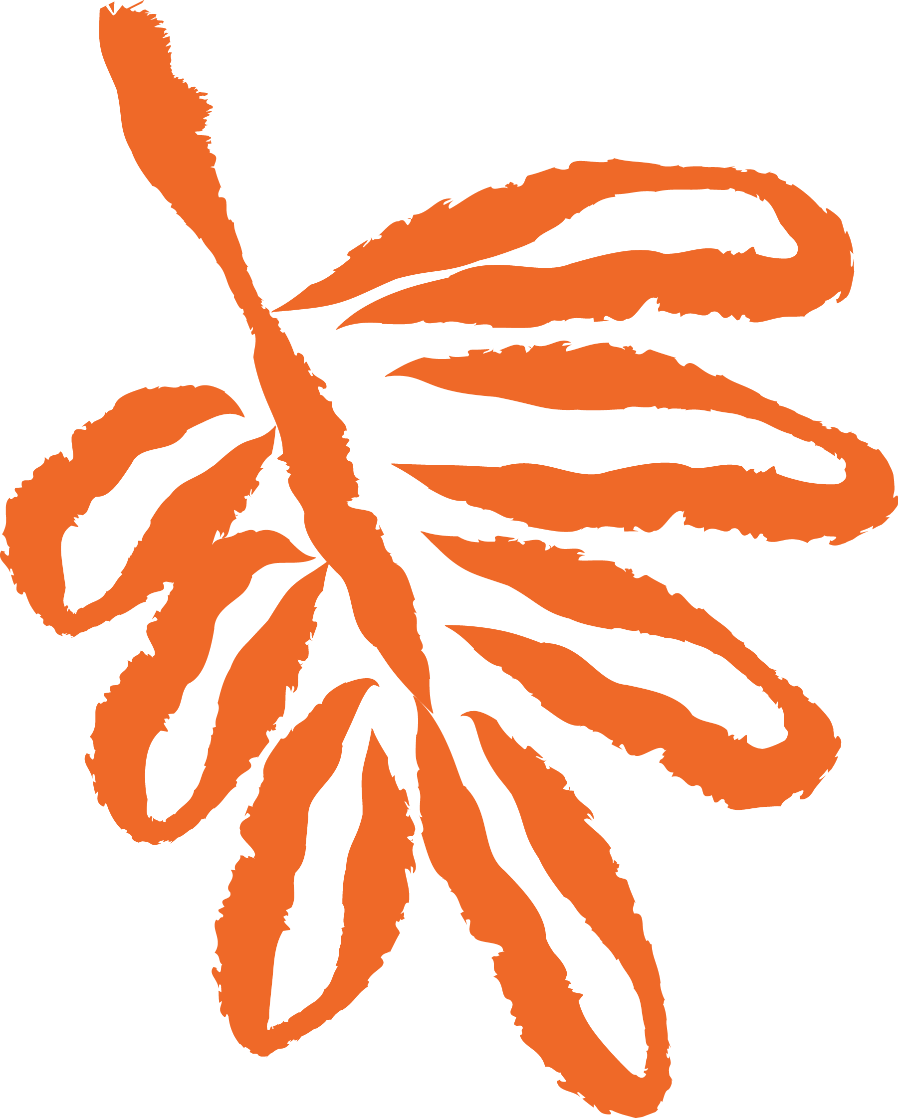 Orange abstract floral icon.
