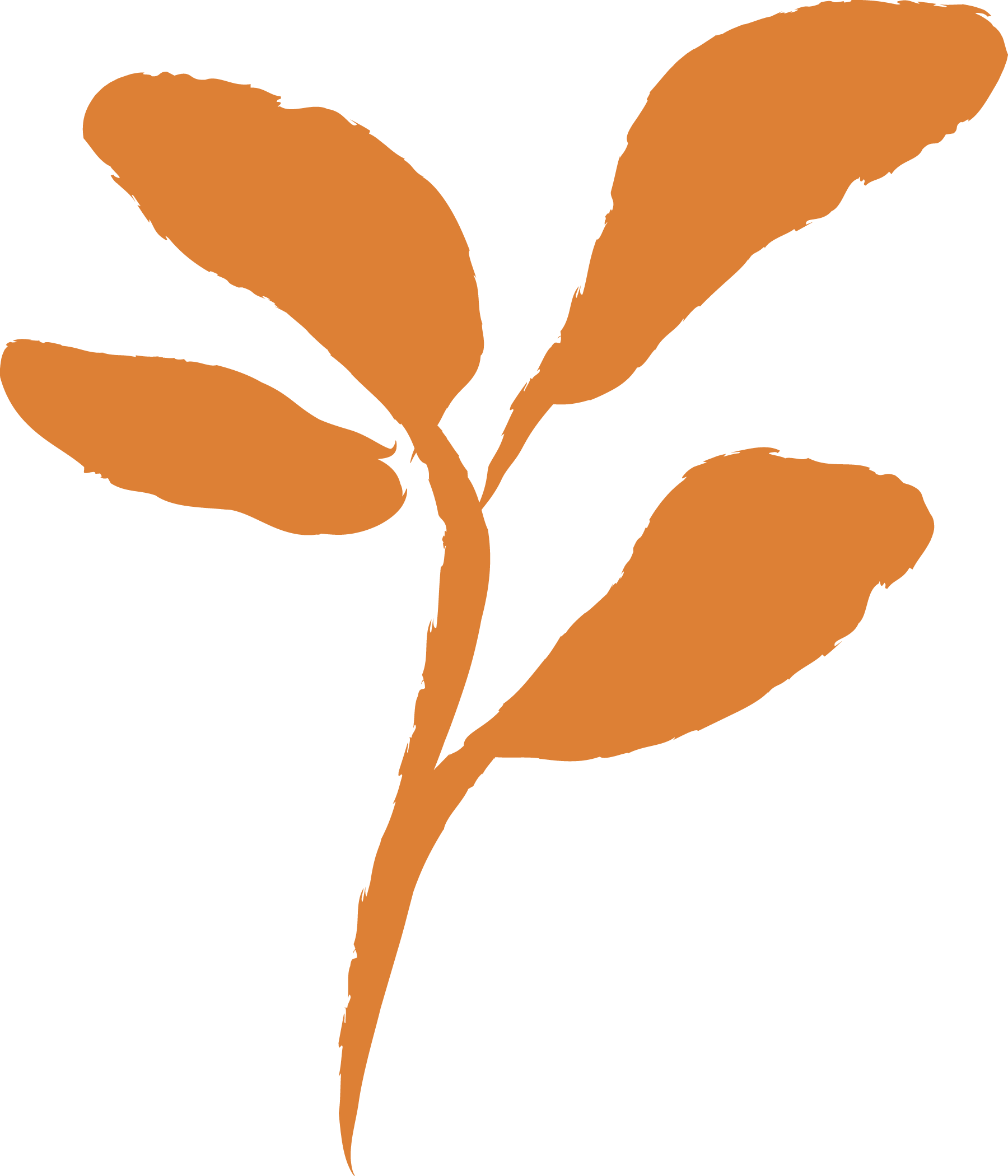 A stylized orange-brown plant with elongated, curved leaves extending from a central stem.