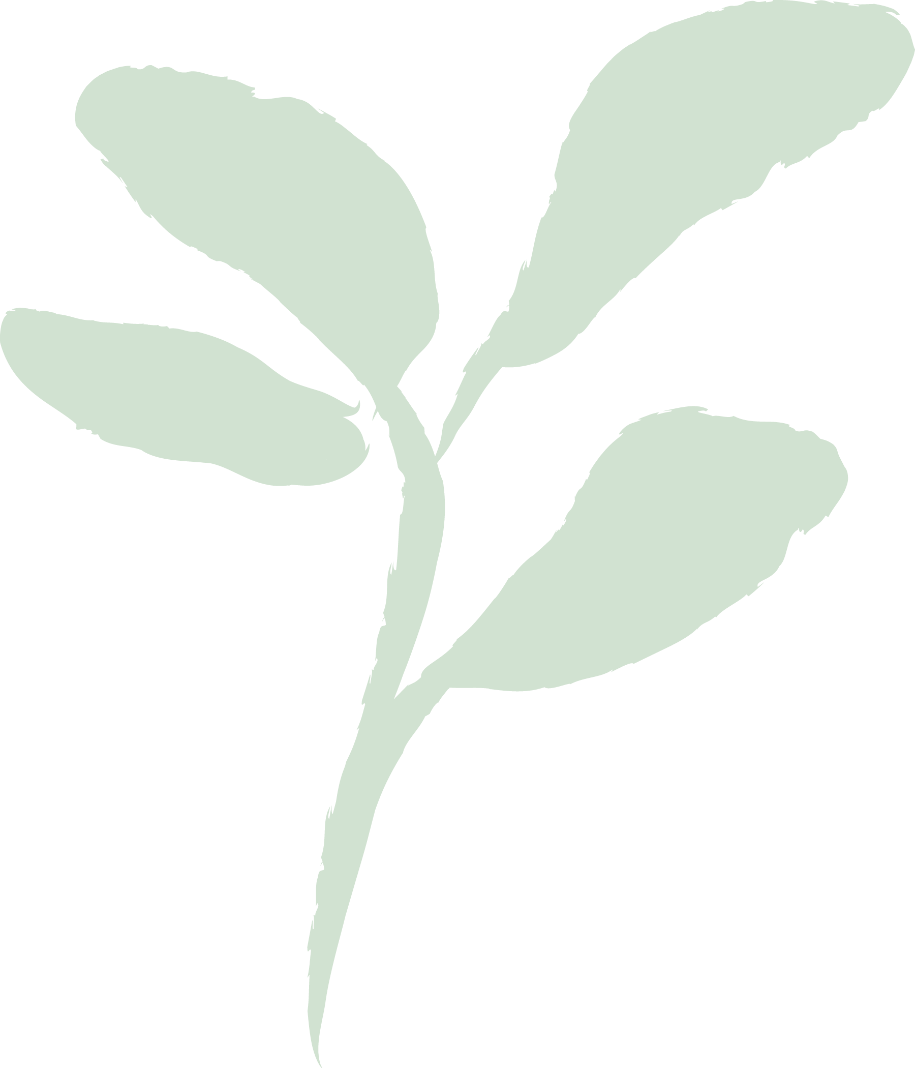 Silhouette of a plant with light green leaves and stem