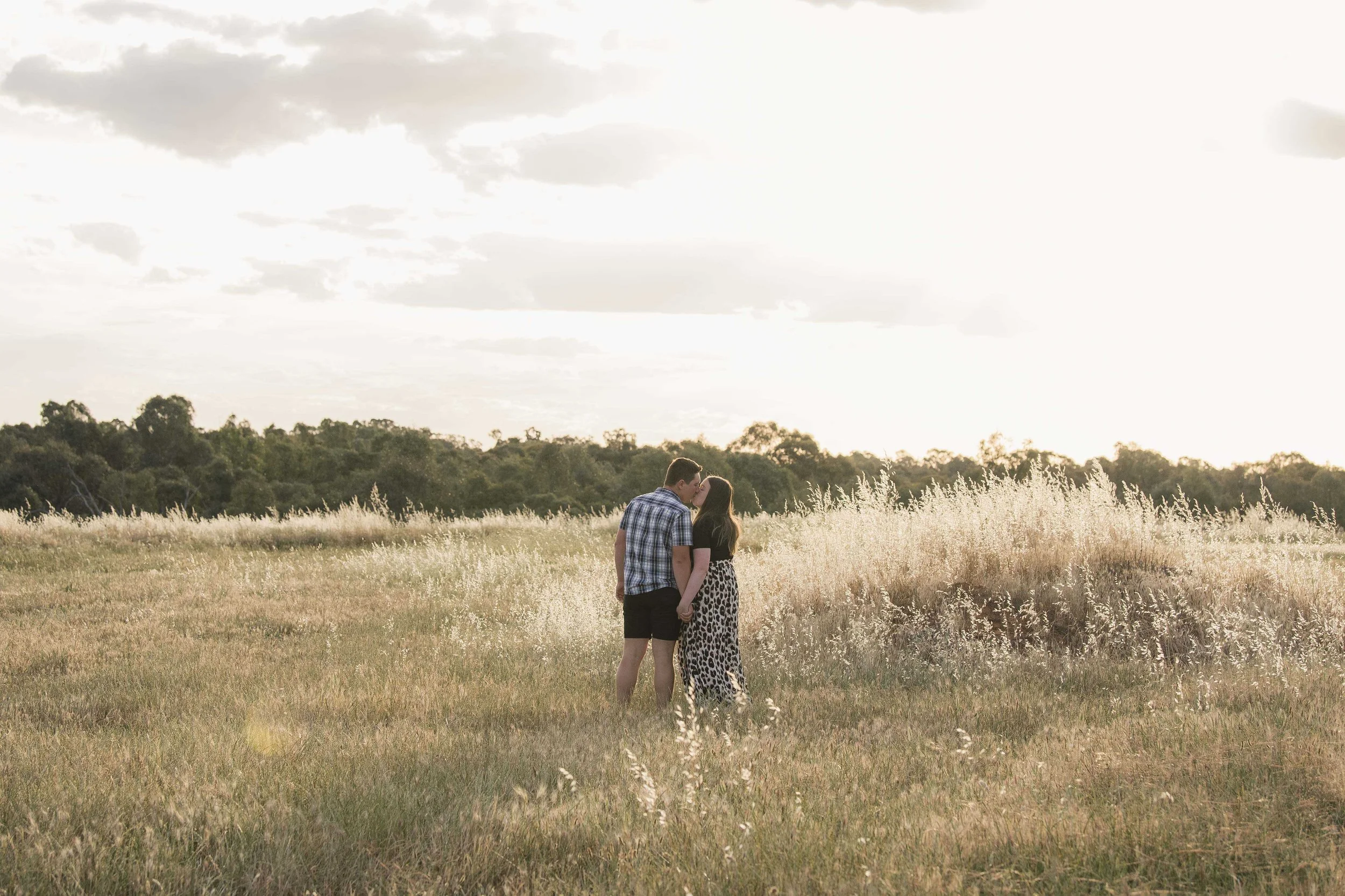 A couple standing in a field kissing, with tall grass and trees in the background, under a partly cloudy sky illuminated by the setting or rising sun.
