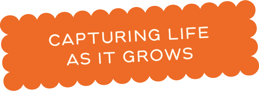 Text saying "Capturing Life As It Grows" in white font on an orange scalloped background.