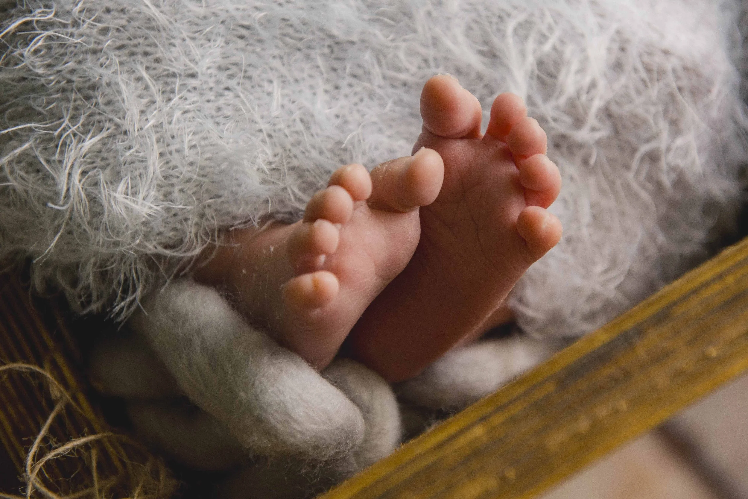 Close-up of a newborn baby's toes, with a soft, fuzzy white blanket in the background.