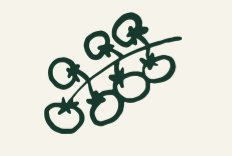 A diagram of a fruit with labeled parts, including Q's and a central stem, drawn in a sketch style.