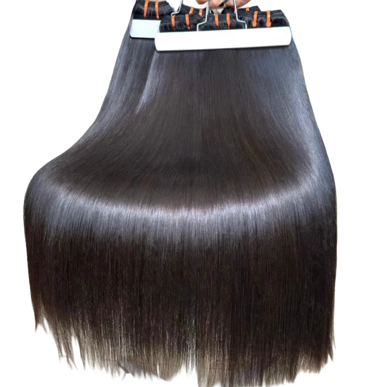 Signature Collection