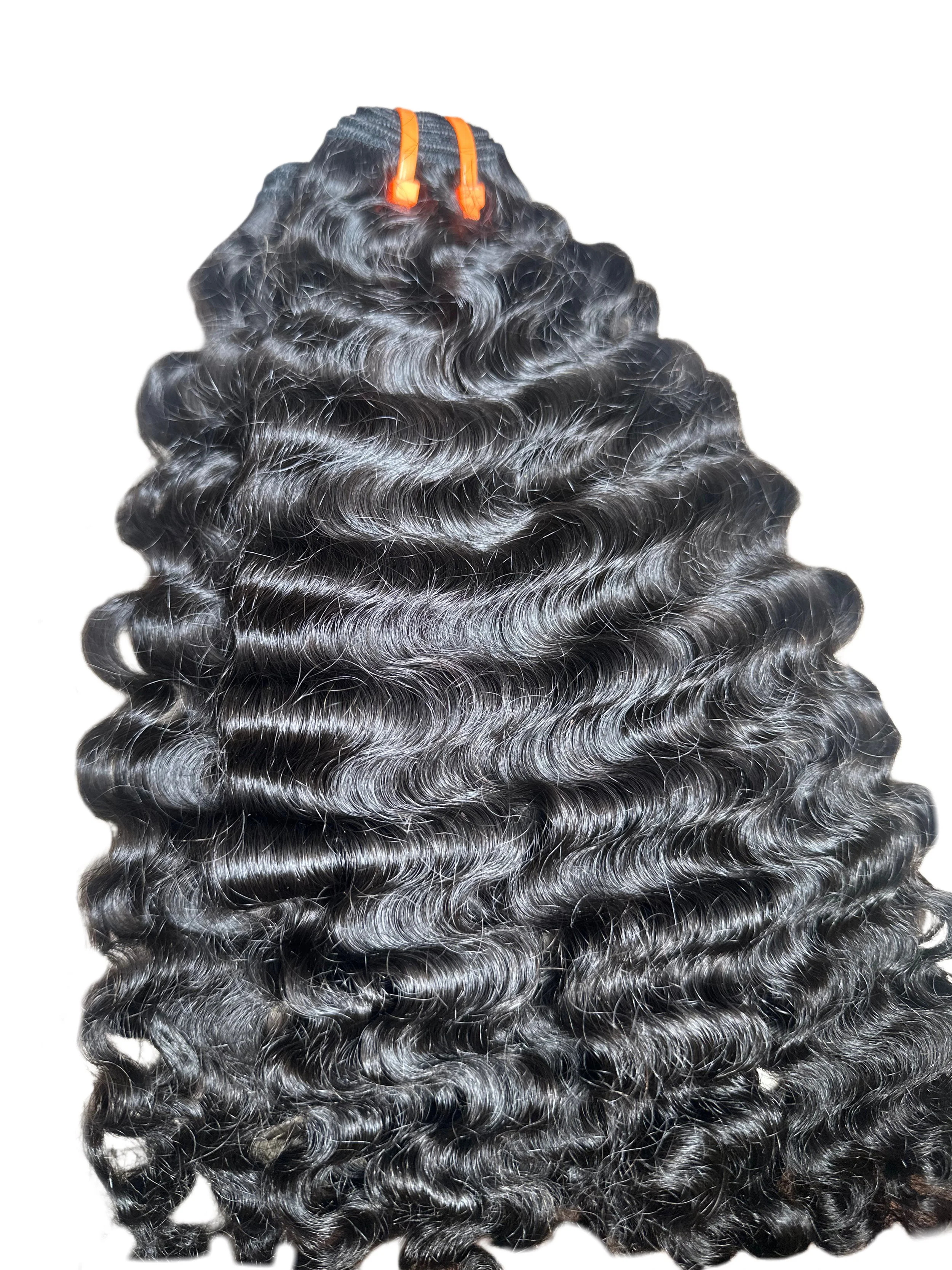 Signature Collection