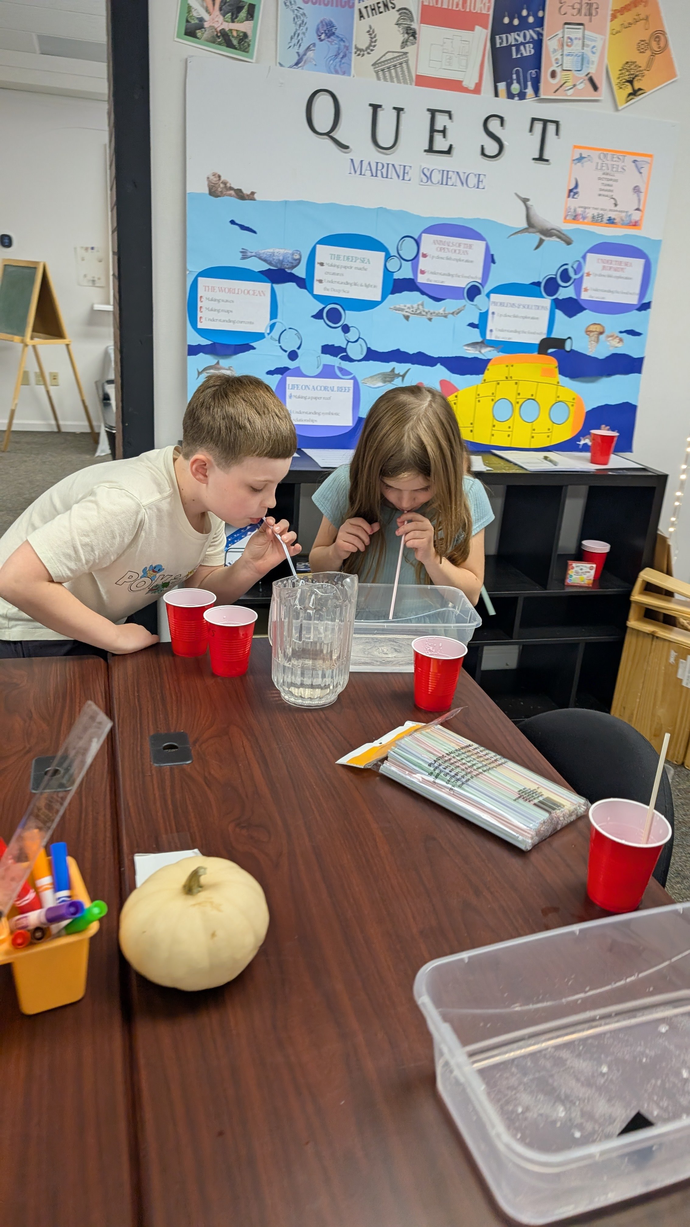 Education is not the path to knowledge, it is 