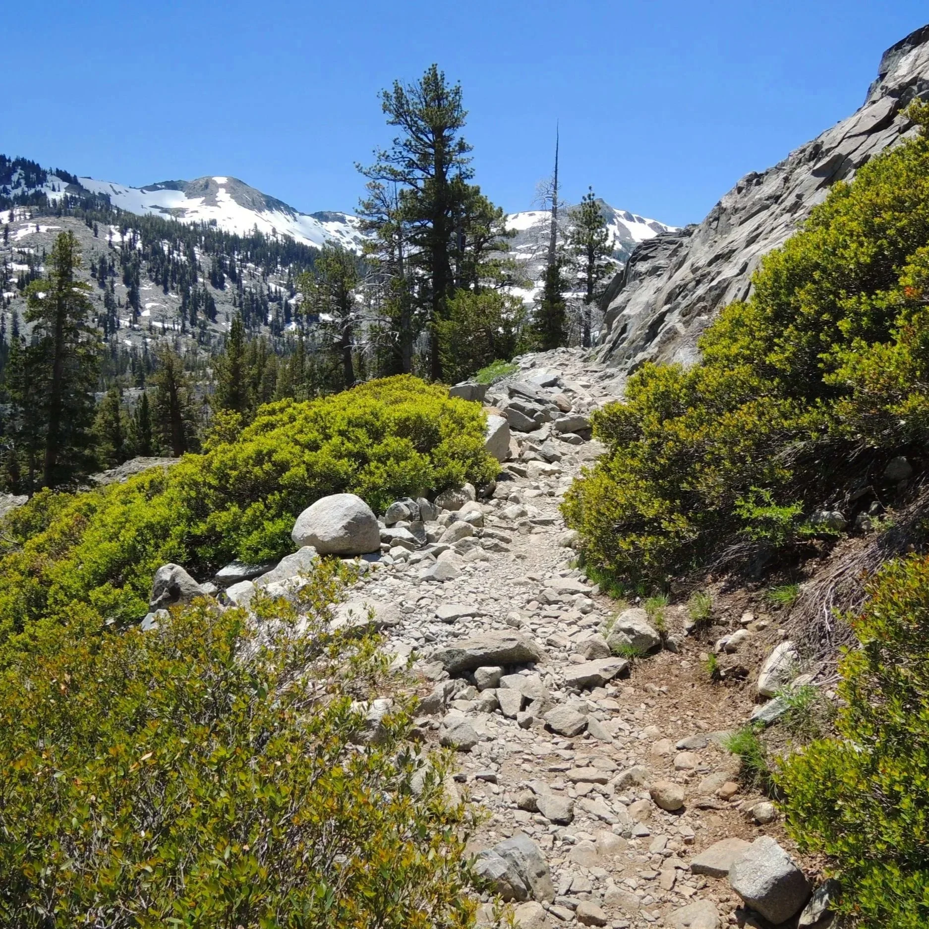 Granite Chief Wilderness Backpacking Trip