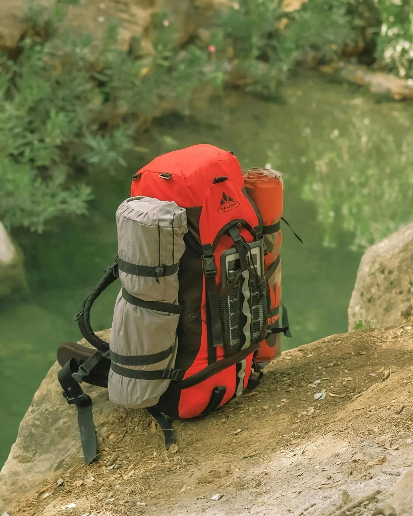 pexels-lotphey-79785923-13792297.jpg (Copy) (Copy) (Copy)