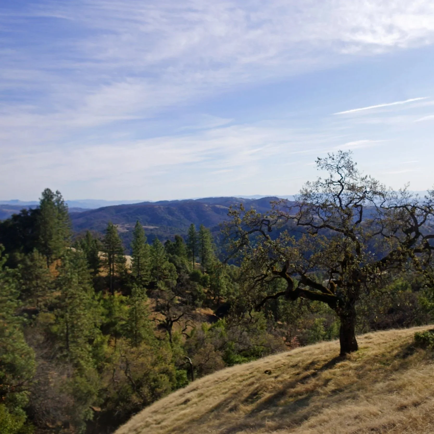 Henry W. Coe State Park Backpacking Trip