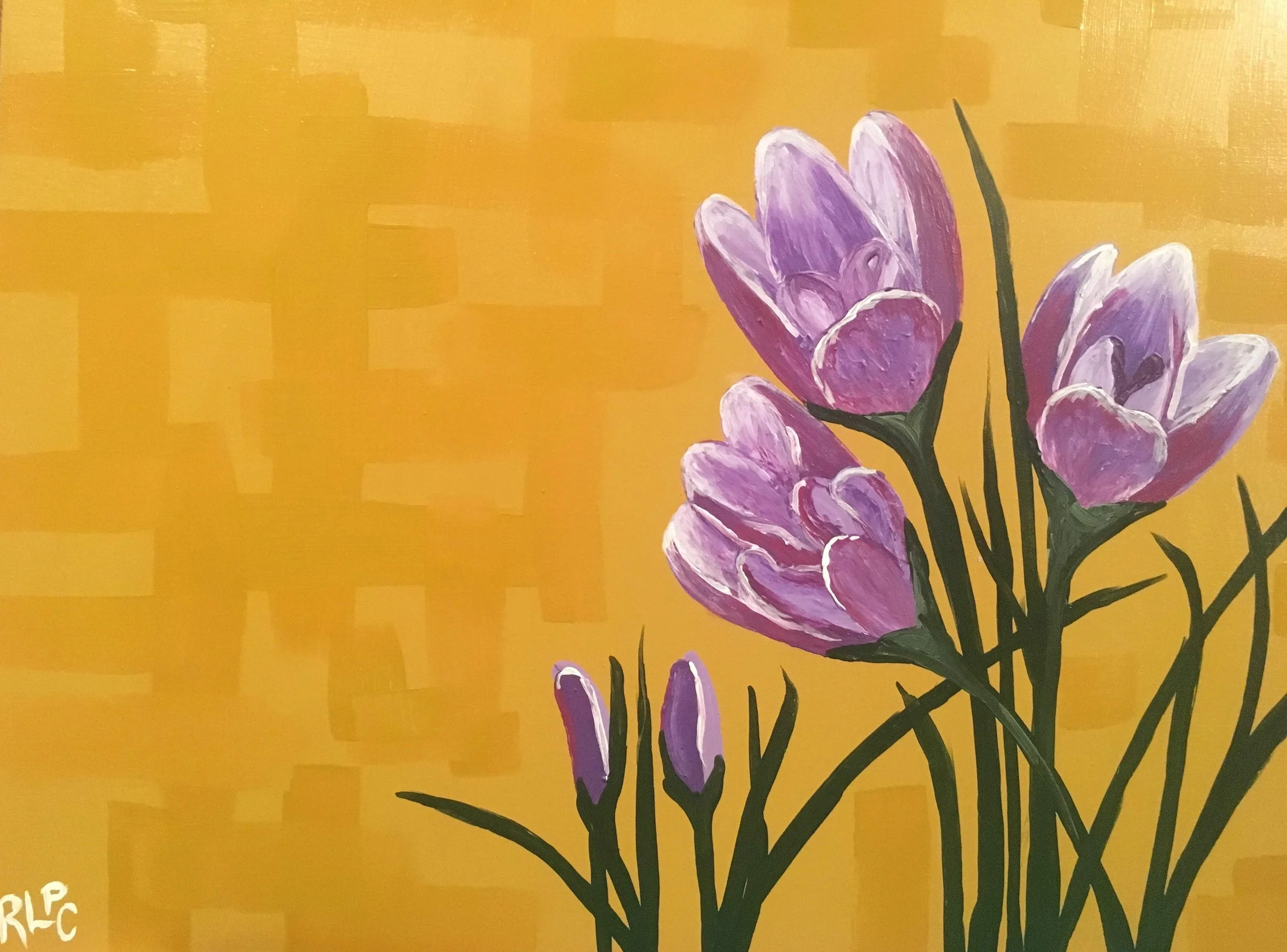 purple spring crocus flowers on an abstract mustard-yellow background