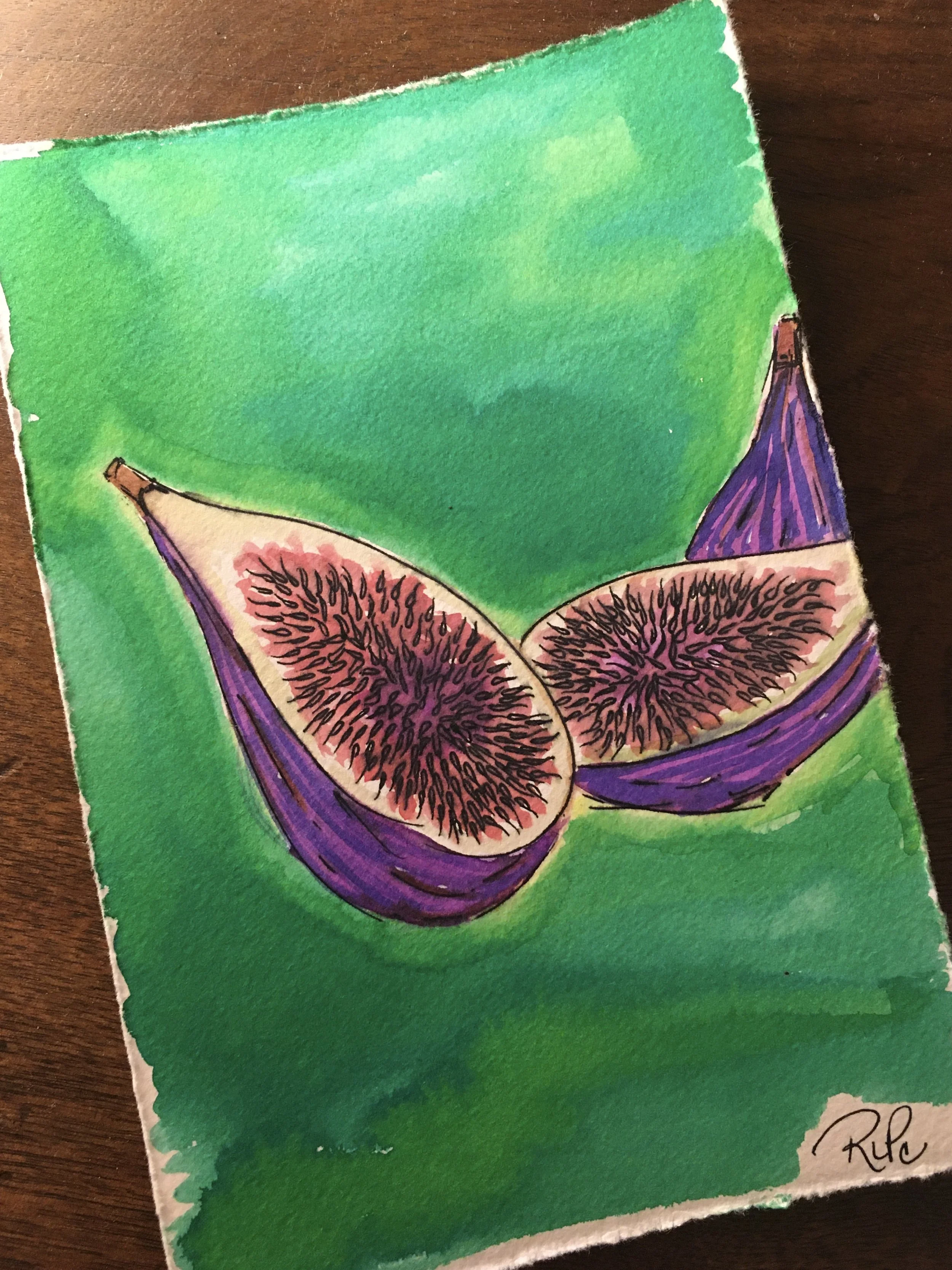 Water color figs on green background
