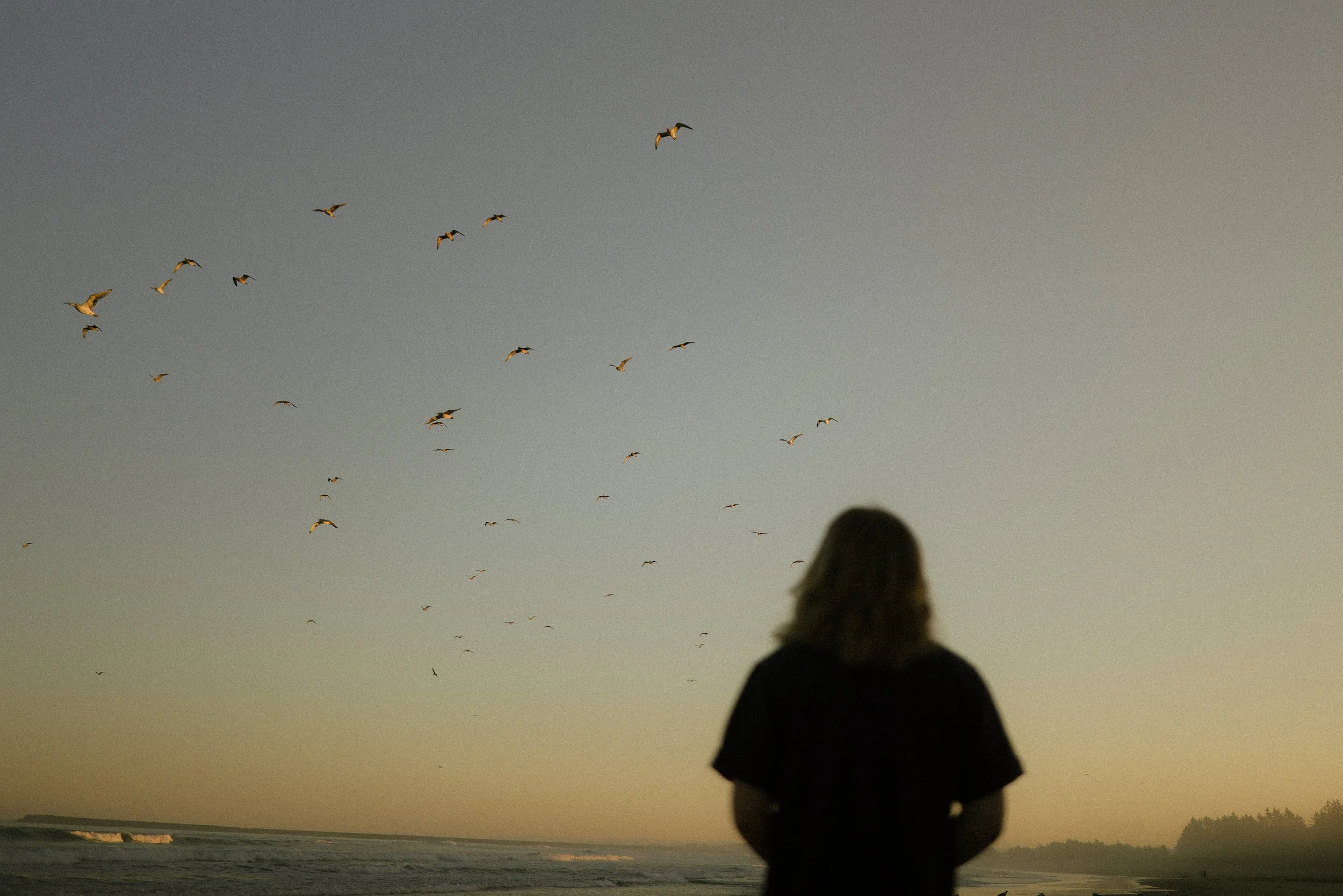 A woman standing on a beach at sunset, gazing at a flock of birds flying in the sky.