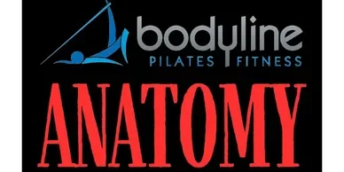 Bodyline Pilates Fitness Anatomy logo featuring a stylized figure doing a plank.