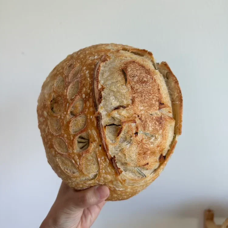 Organic Sourdough - Roasted Garlic & Rosemary