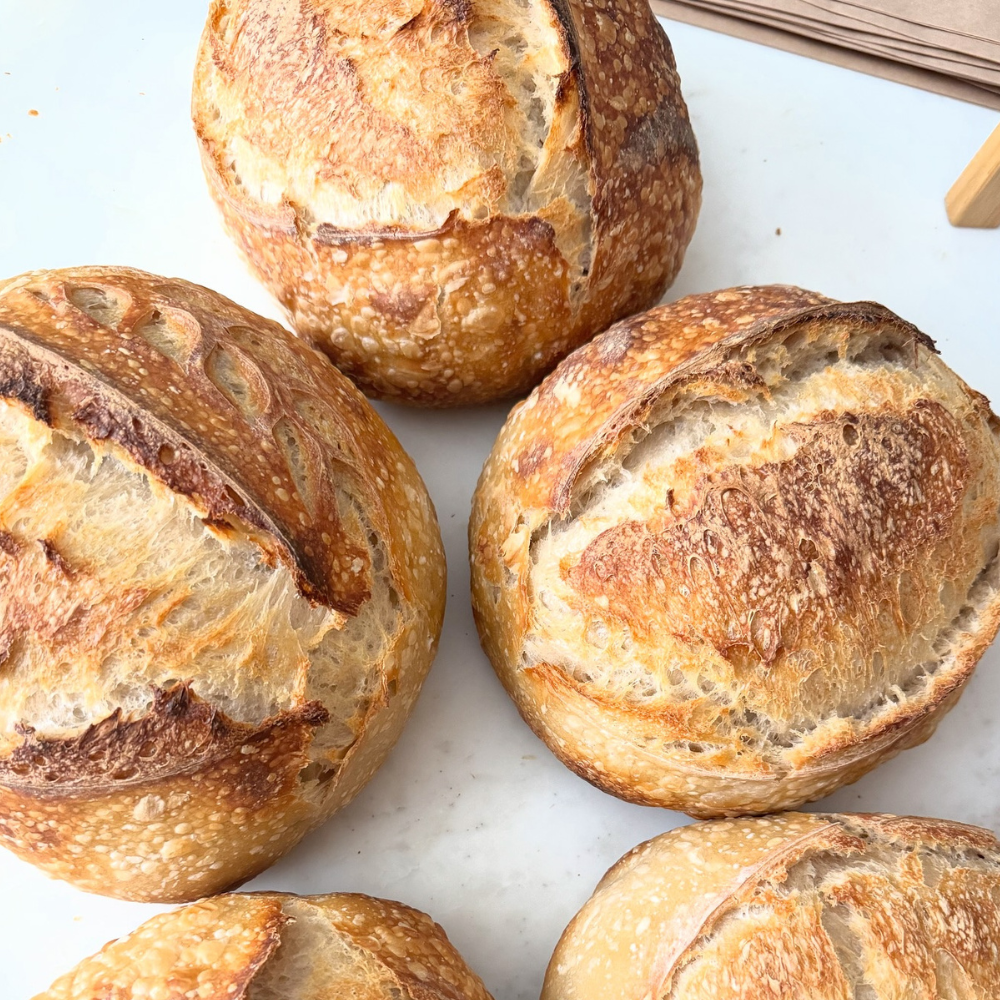 Organic Sourdough - Original