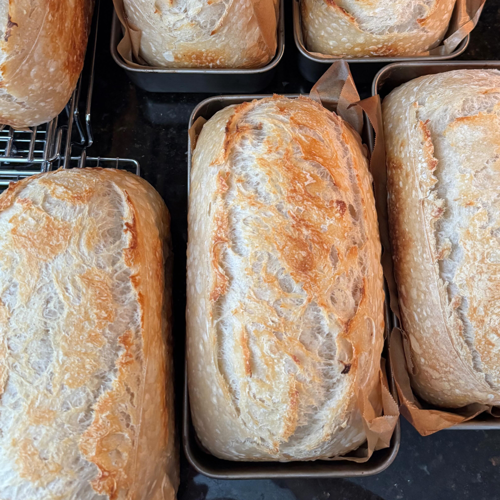 Organic Sourdough - Original