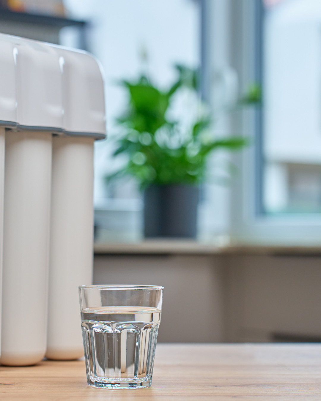 A glass of water on a wooden surface in a kitchen with a potted plant and a window in the background.