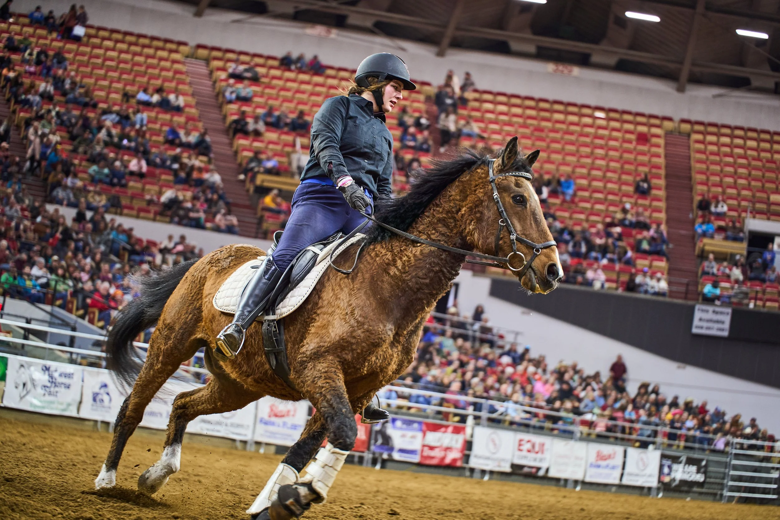 2025_MidwestHorseFair_129 2.jpg