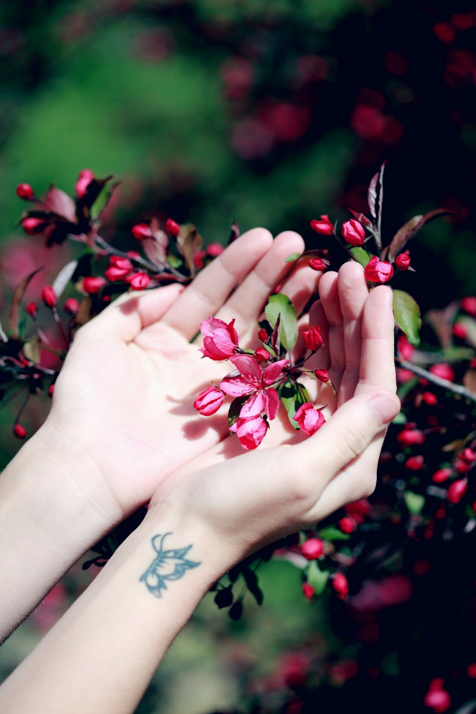 Person with a tattoo on their wrist holding pink flowering branches with small pink buds and green leaves, outdoors with blurred red and green background.