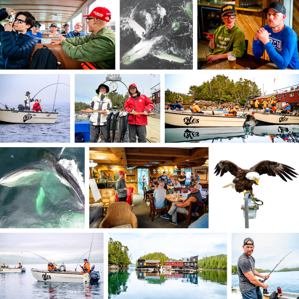 People enjoying a boat fishing trip, catching fish, eating at a restaurant, and observing wildlife like an eagle, with some images of a whale breaching, and a scenic view of a house on the water.