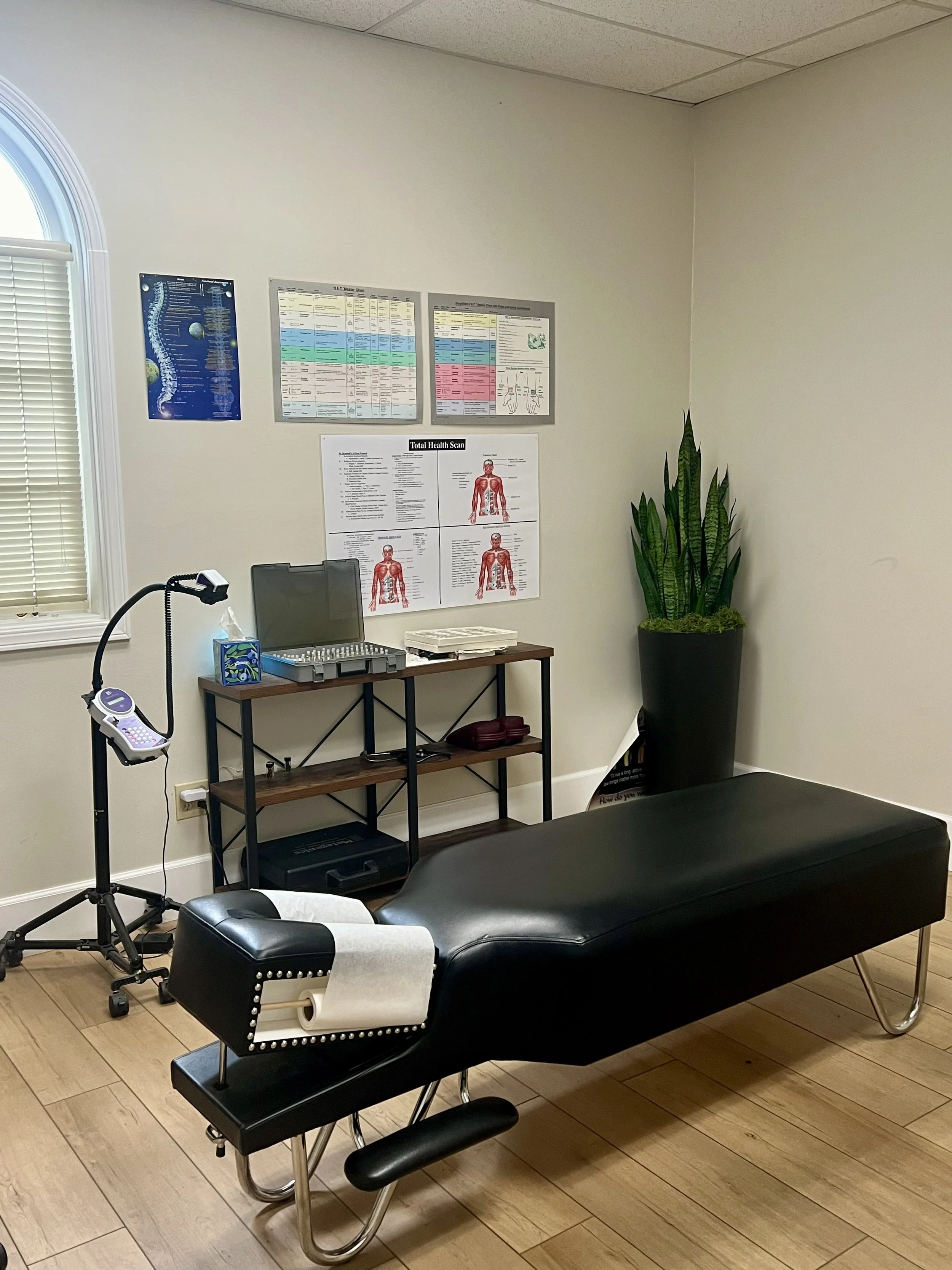 A medical treatment room with a black examination table, a potted plant, medical charts and posters on the wall, a small shelf with a tissue box, a laptop, and a collection of dental or medical tools on a tray. There is a window with blinds on the left side.