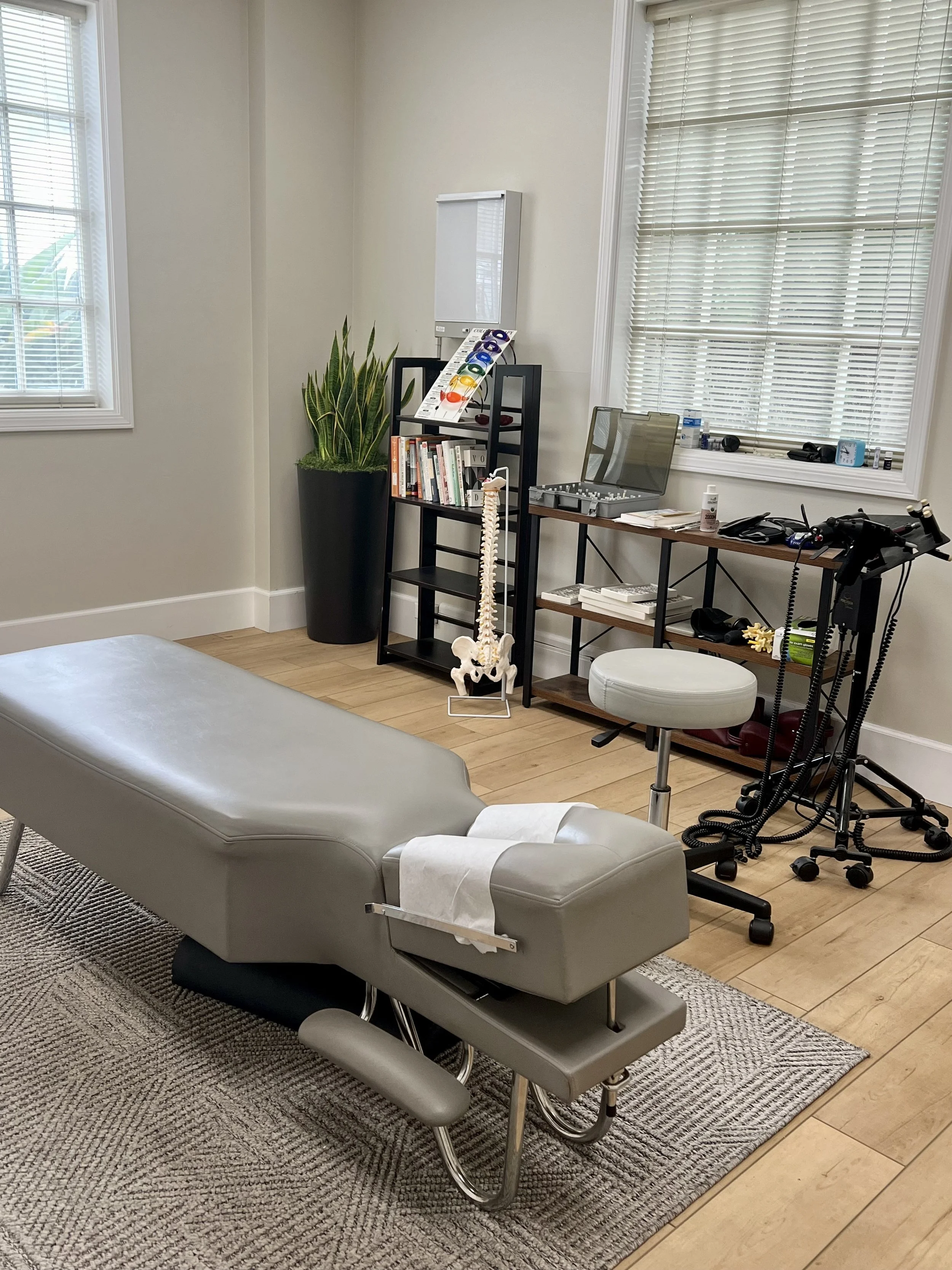 A chiropractic or medical examination room with a treatment table, a black shelf with books and a spine model, a desk with various medical tools and equipment, and a large potted plant near a window with blinds.