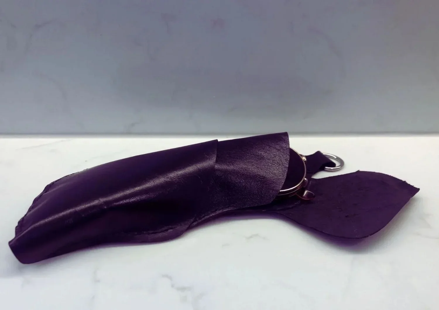 Chrysalis - Glasses Case