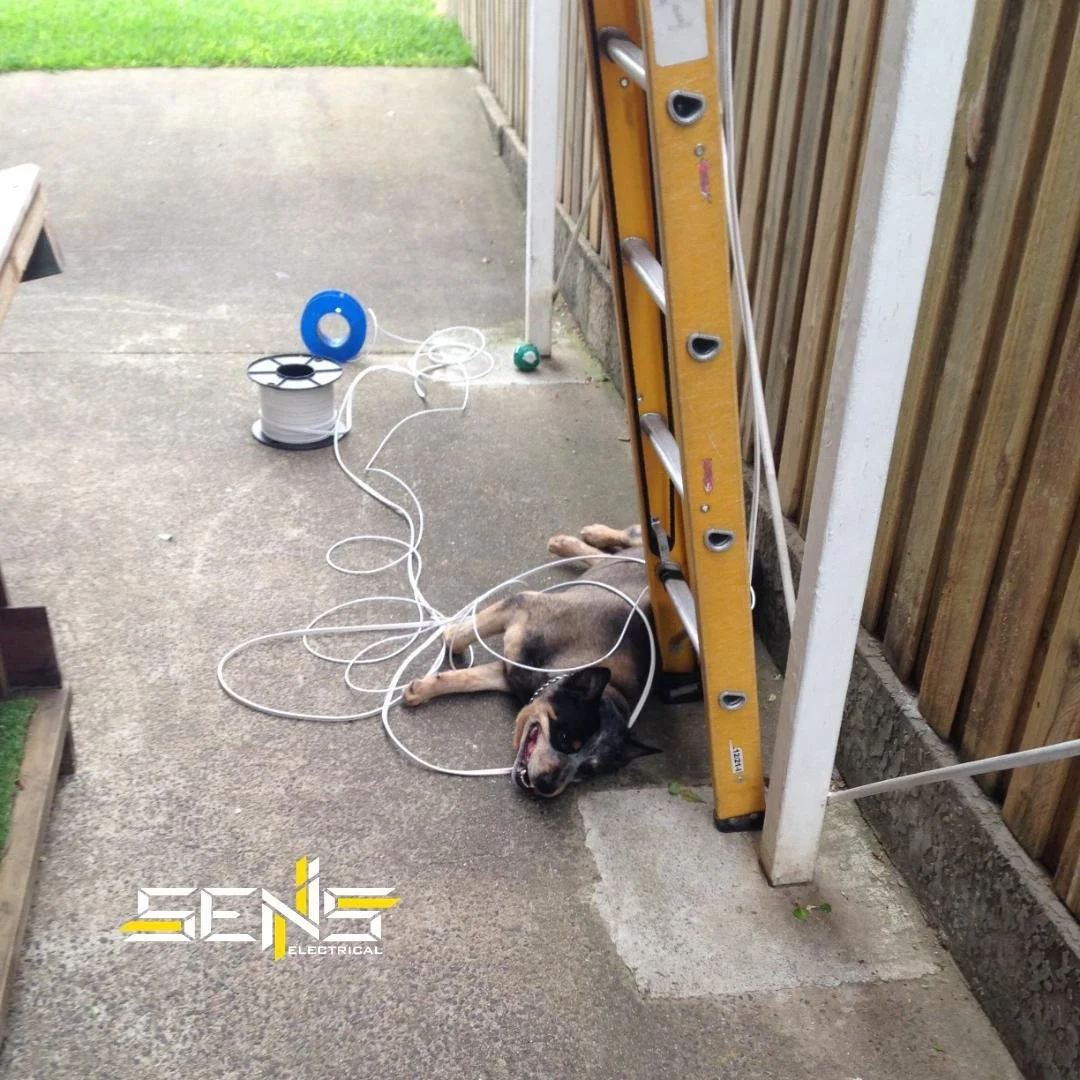 I think the apprentice might still be a bit tired from the weekend😂 

To enquire for some Electrical or Air conditioning work, feel free to comment below, send us a message or call us on 0422163998 🇦🇺 
.
.
.
.
#Electrician #ElectricianBrisbane #El