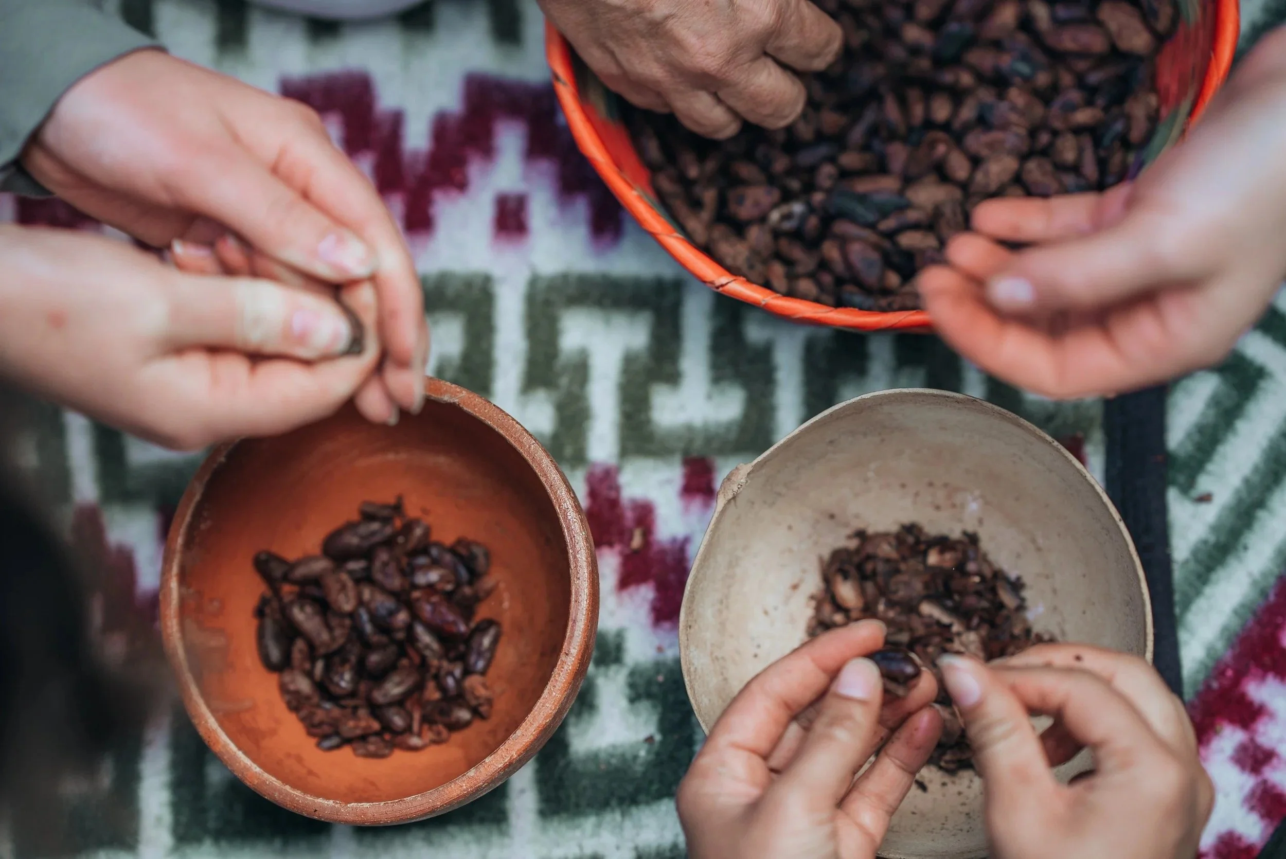 Two pairs of hands, an adult and a child, picking cocoa beans over a patterned cloth with a bowl of cocoa beans and dishes in front.