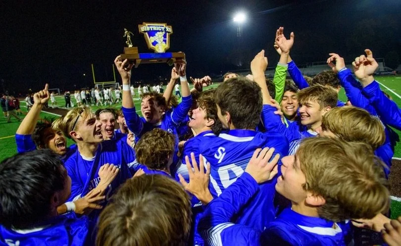 Large Group / Team Mentoring Sessions