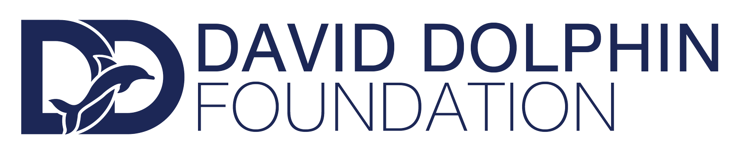David Dolphin Foundation