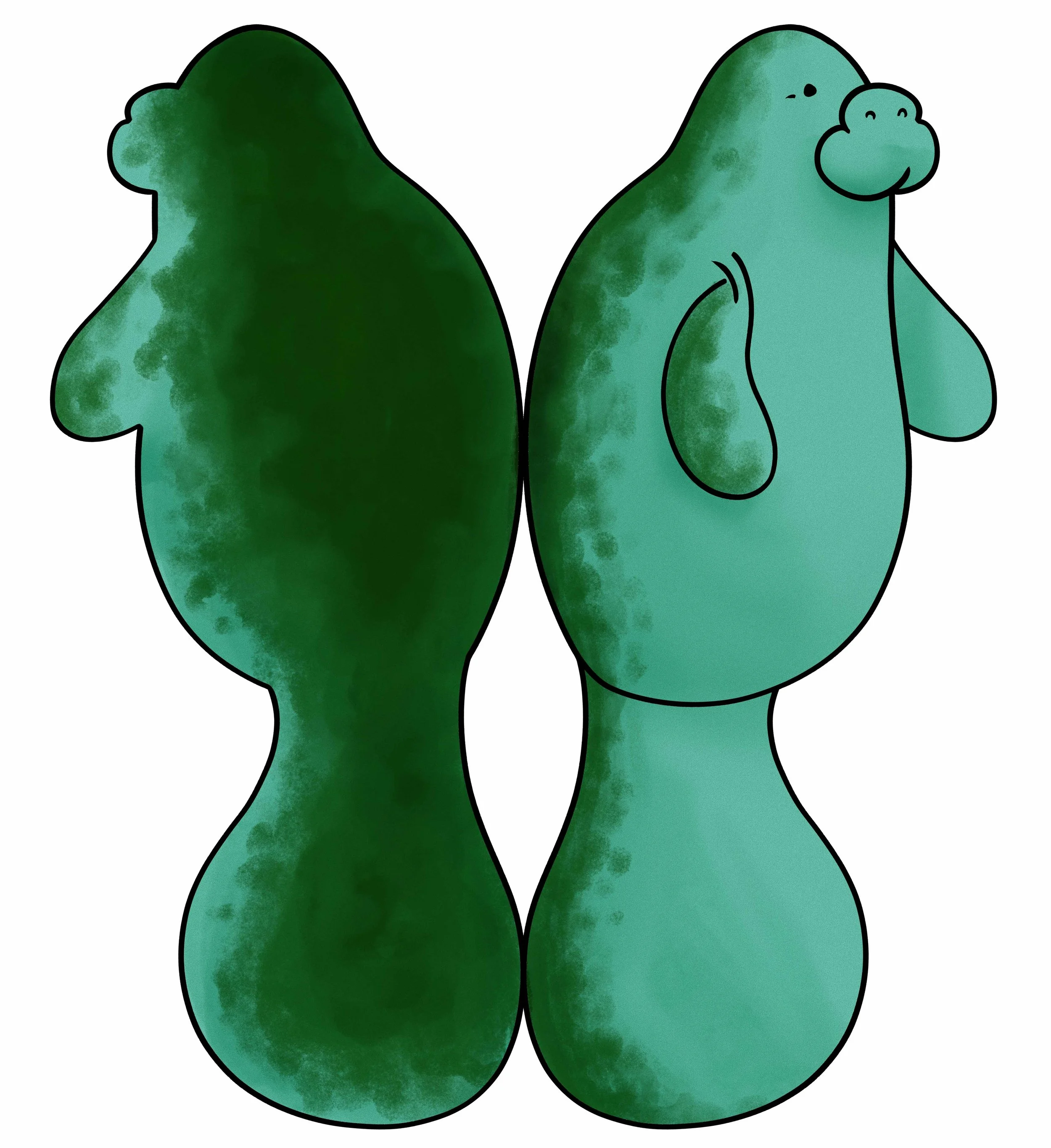 Manatee Card Exterior. Bella Fontanes. 2023.