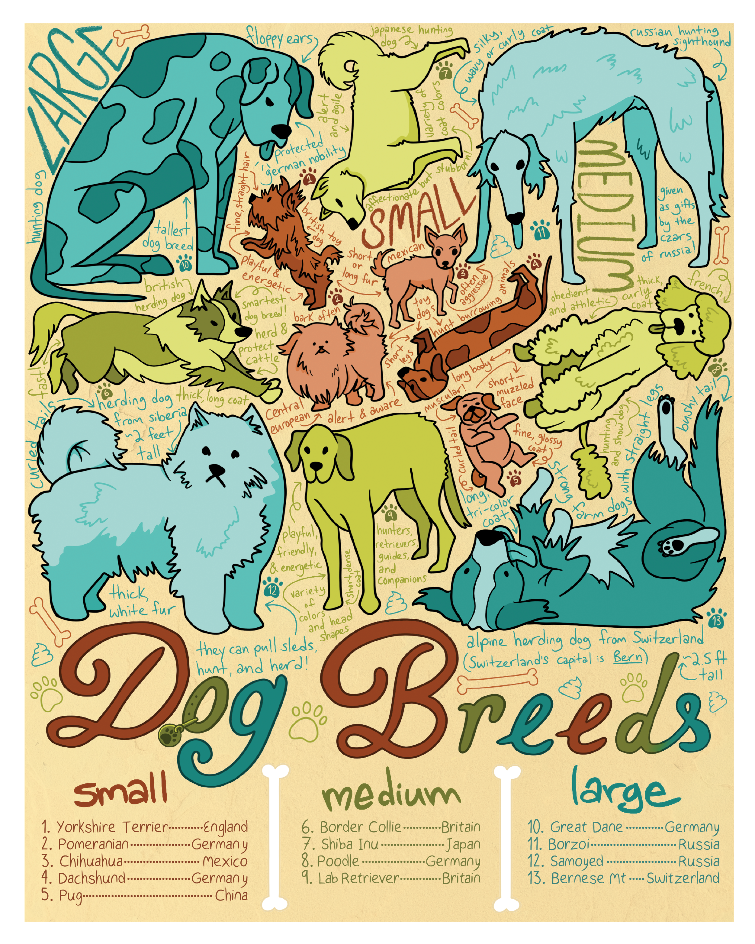 Dog Breeds Poster