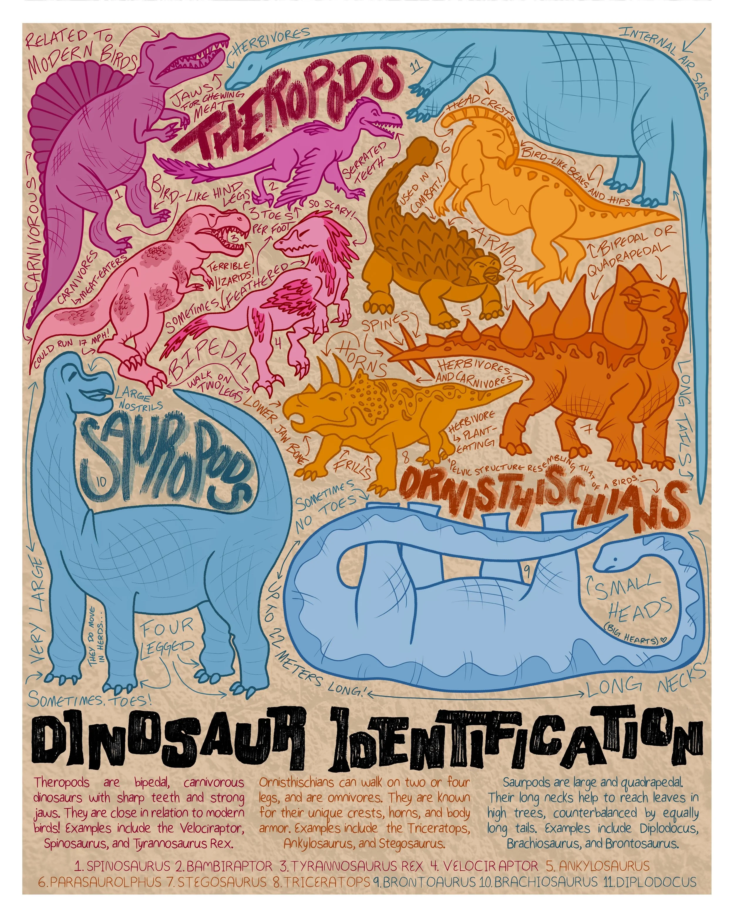 Dinosaur Identification Poster. Bella Fontanes. 2025.