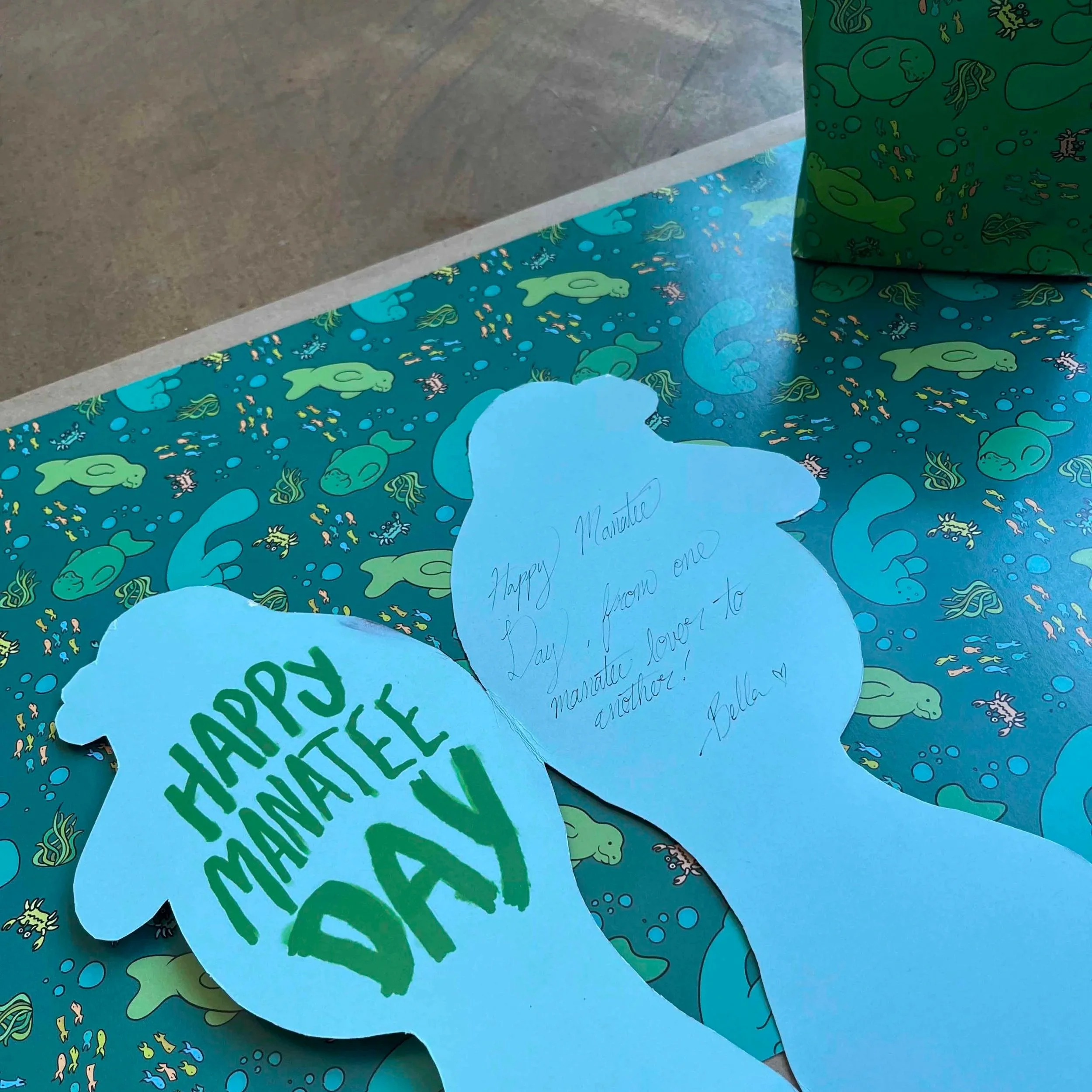 Manatee Card and Wrapping Paper
