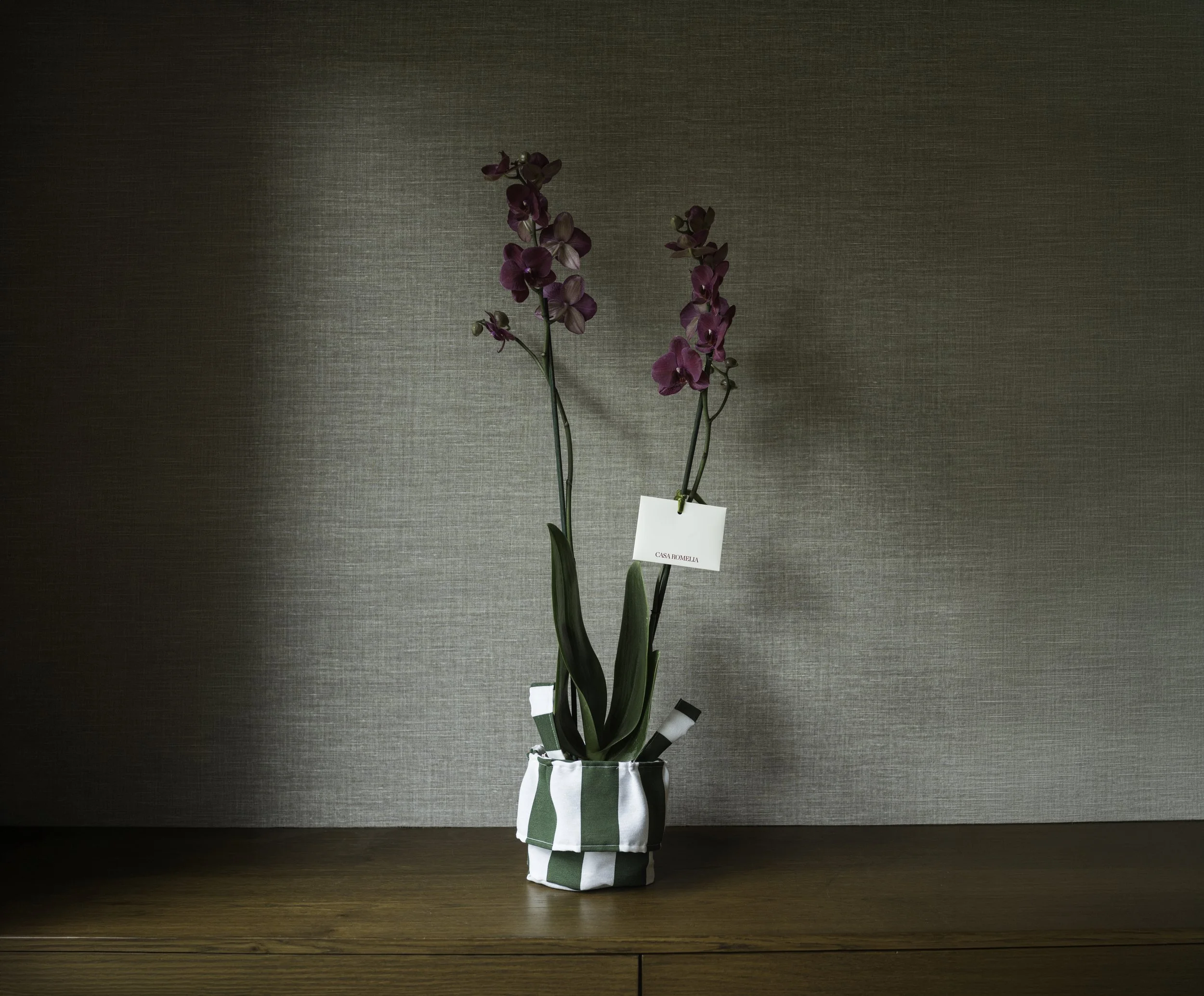 ELLAS </br>6 servilletas alcachofa + 6 individuales alcachofa + orquídea phalaenopsis doble vara en canasta de tela