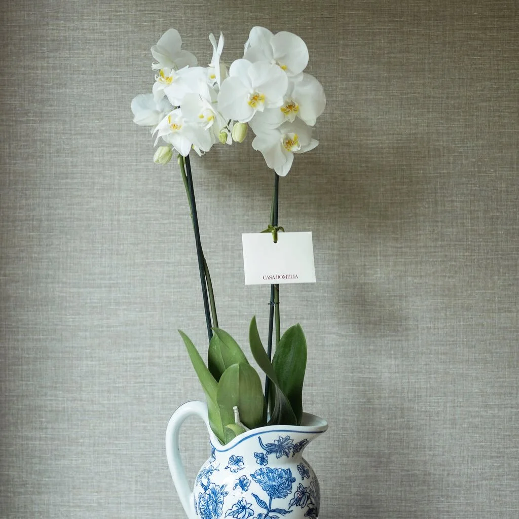 Flores que decoran con Piezas que se quedan para siempre 🤎 Tu, ya tienes regalo para mam&aacute;? 

Nuestra colecci&oacute;n de orqu&iacute;deas para Mother&rsquo;s Day viene en una jarra hermosa que despu&eacute;s puede usarse para mesas, flores y 