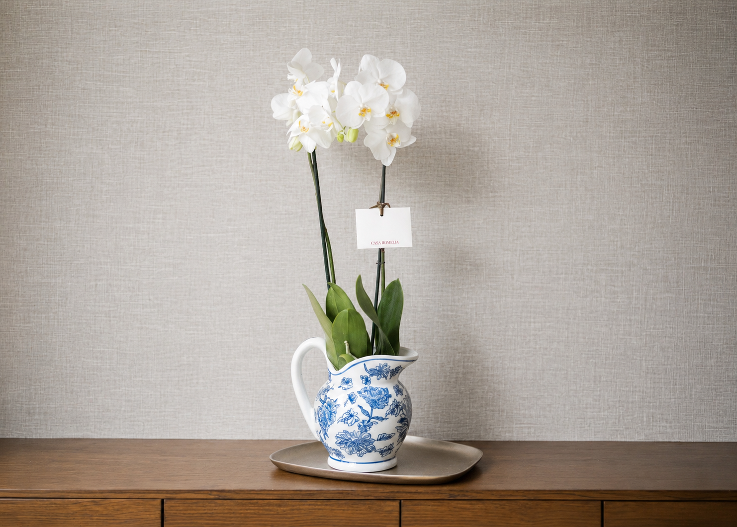 ANA </br>Orquídea Phalaenopsis doble vara en jarra de porcelana artesanal