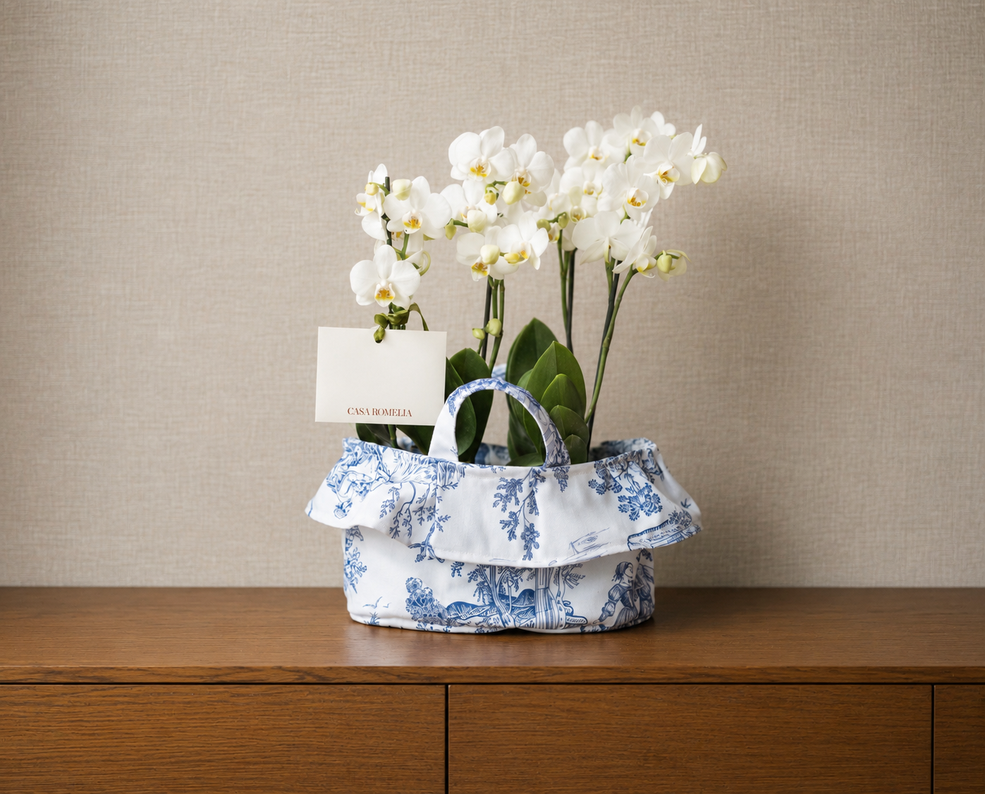 RAFAELA </br>2 Orquídeas Phalaenopsis Mini en canasta de algodón
